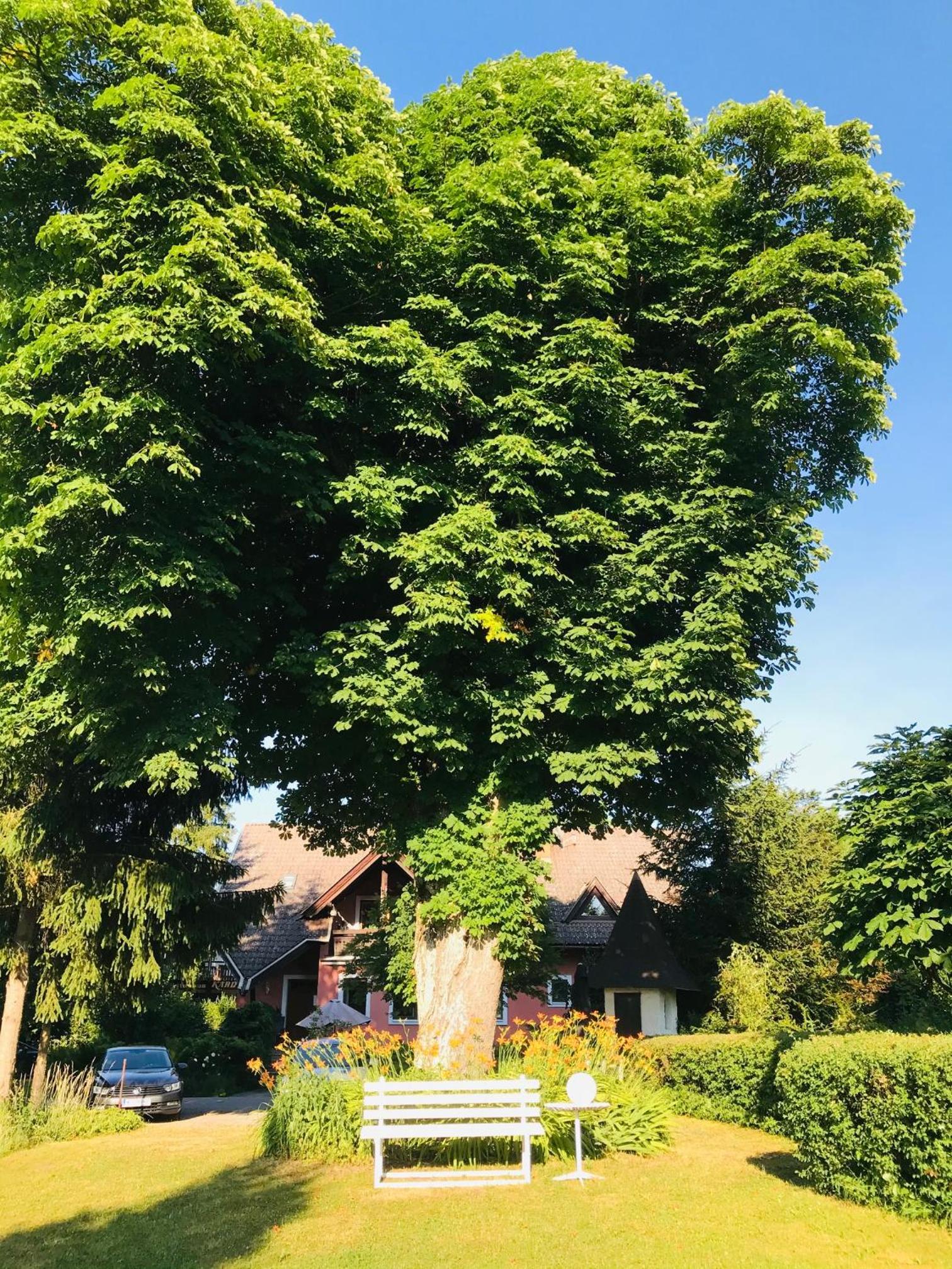 Georgihof im Park