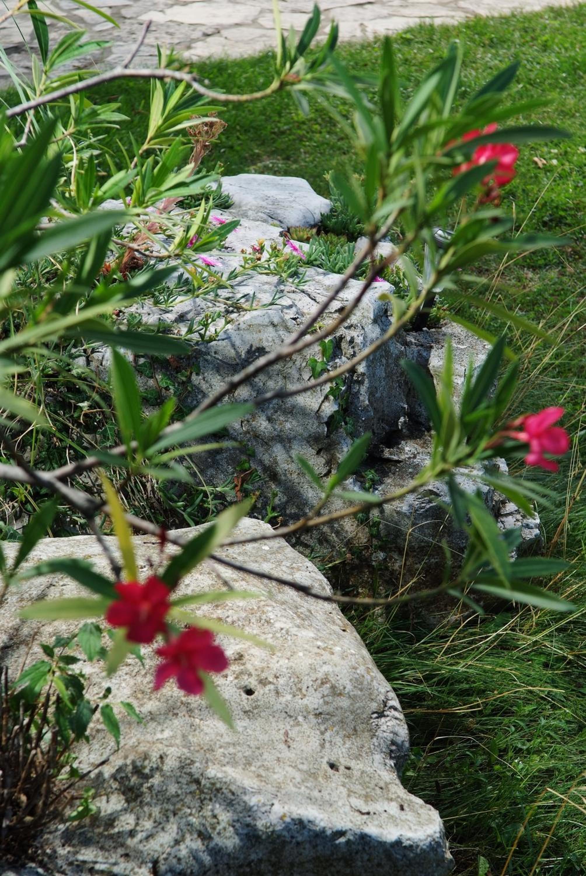 Photo 35