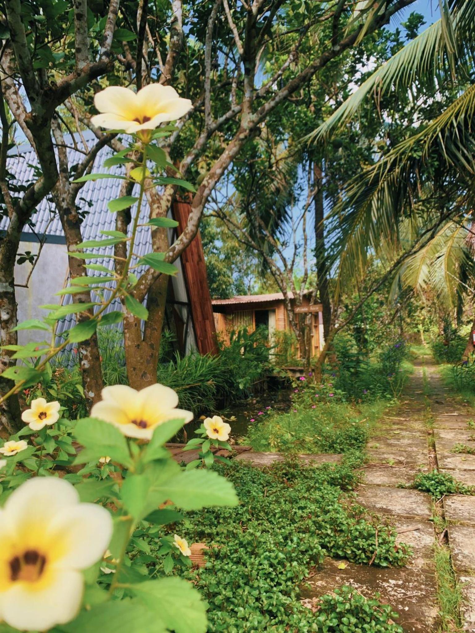 Hide Away Bungalows in Ben Tre City view 3