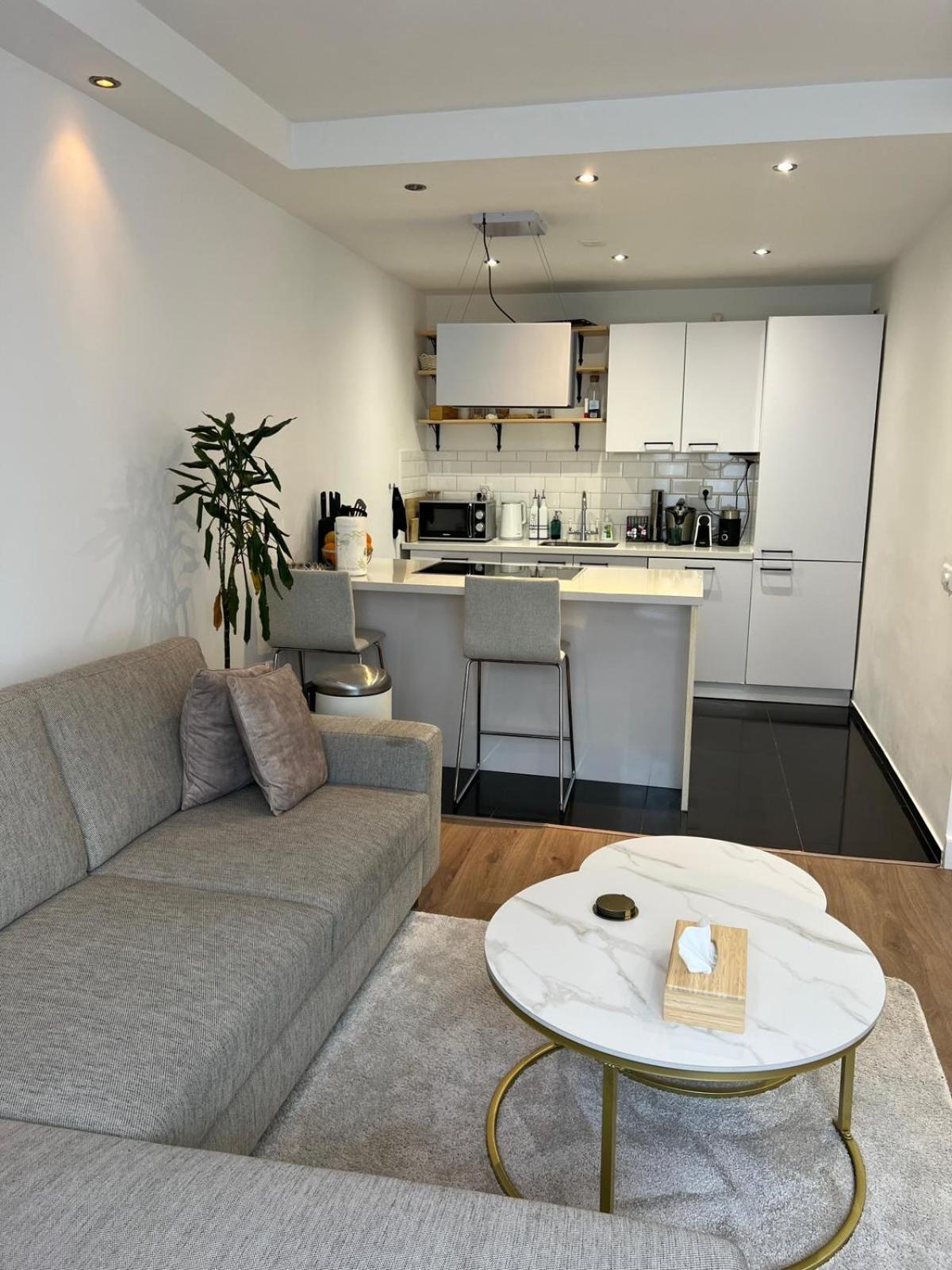 Modern Apartment near Rotterdam Central view 5