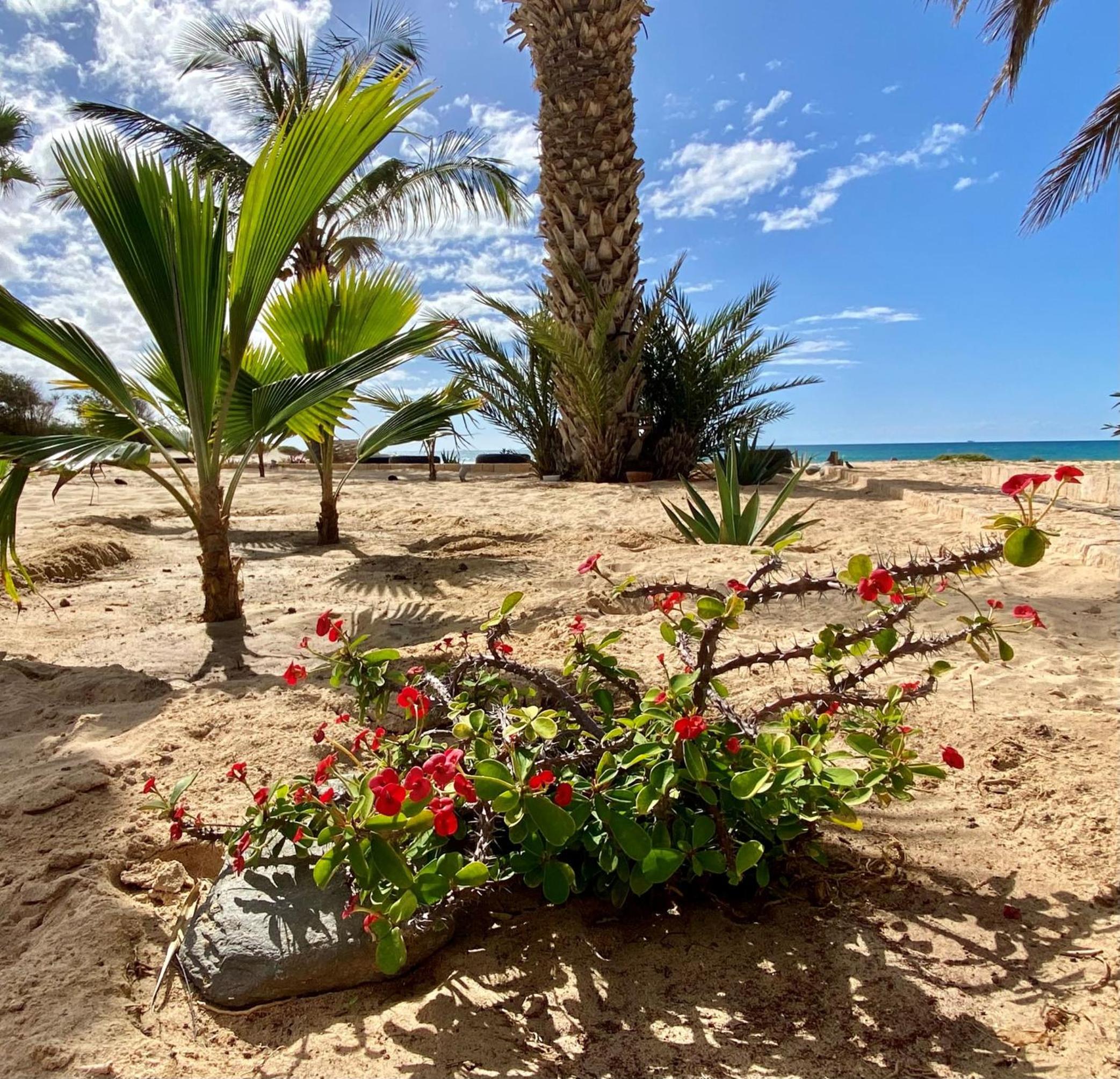 Vila Mare - Praia de Chaves frontline