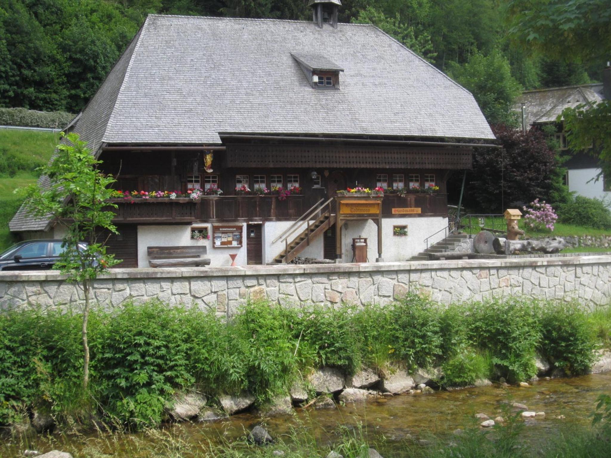 Photo 7