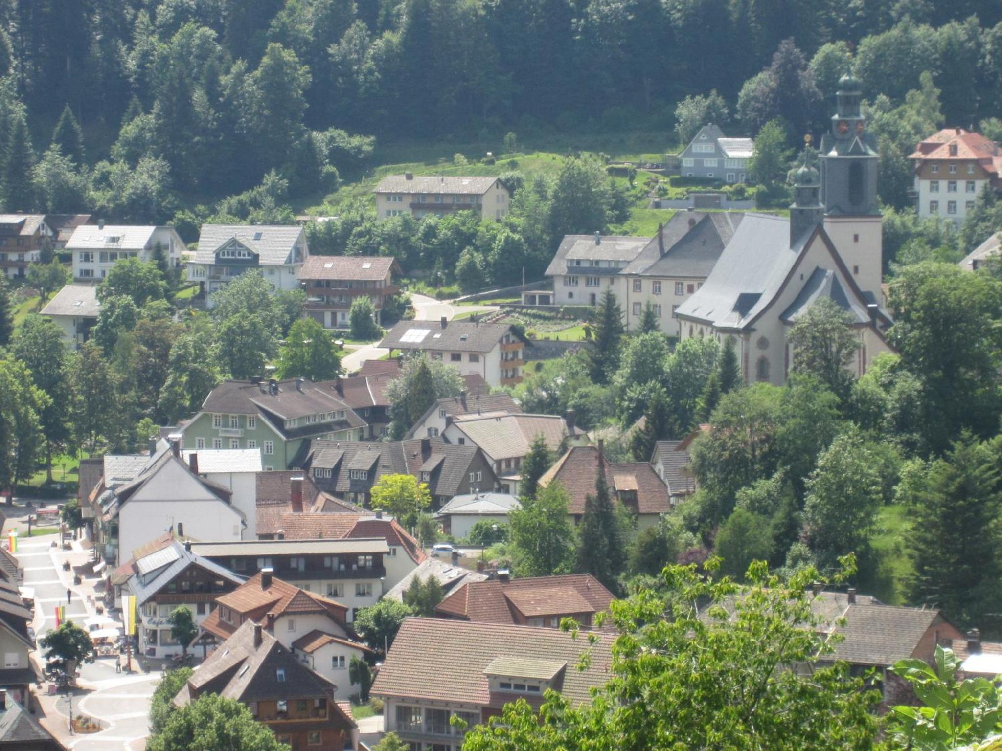 Photo 12