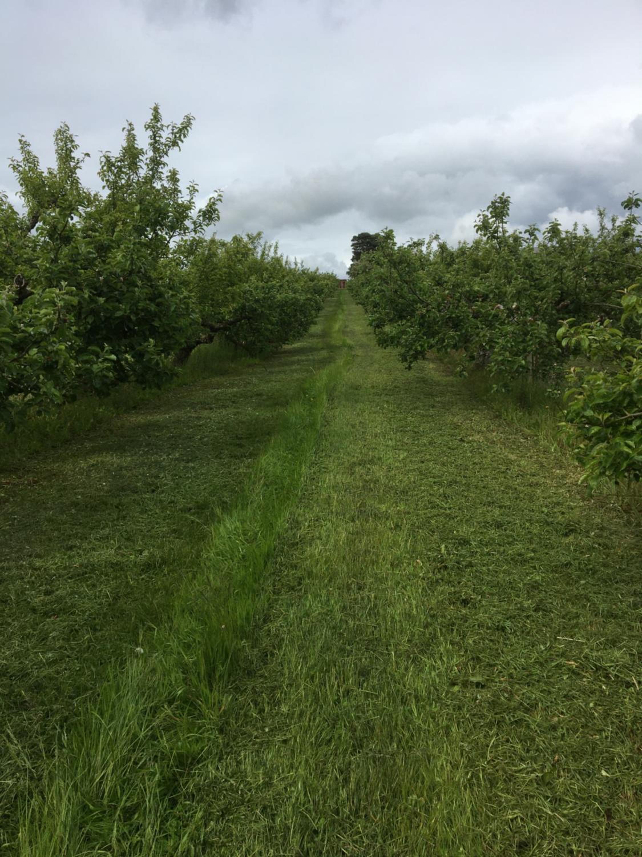 Photo 22