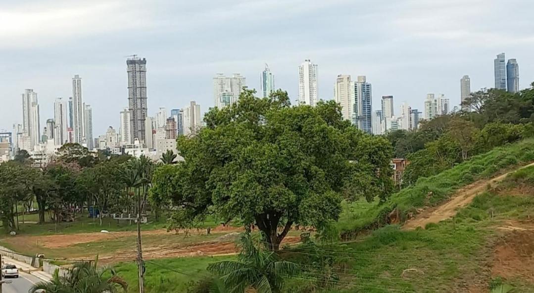 Agradável apartamento em bairro silencioso...