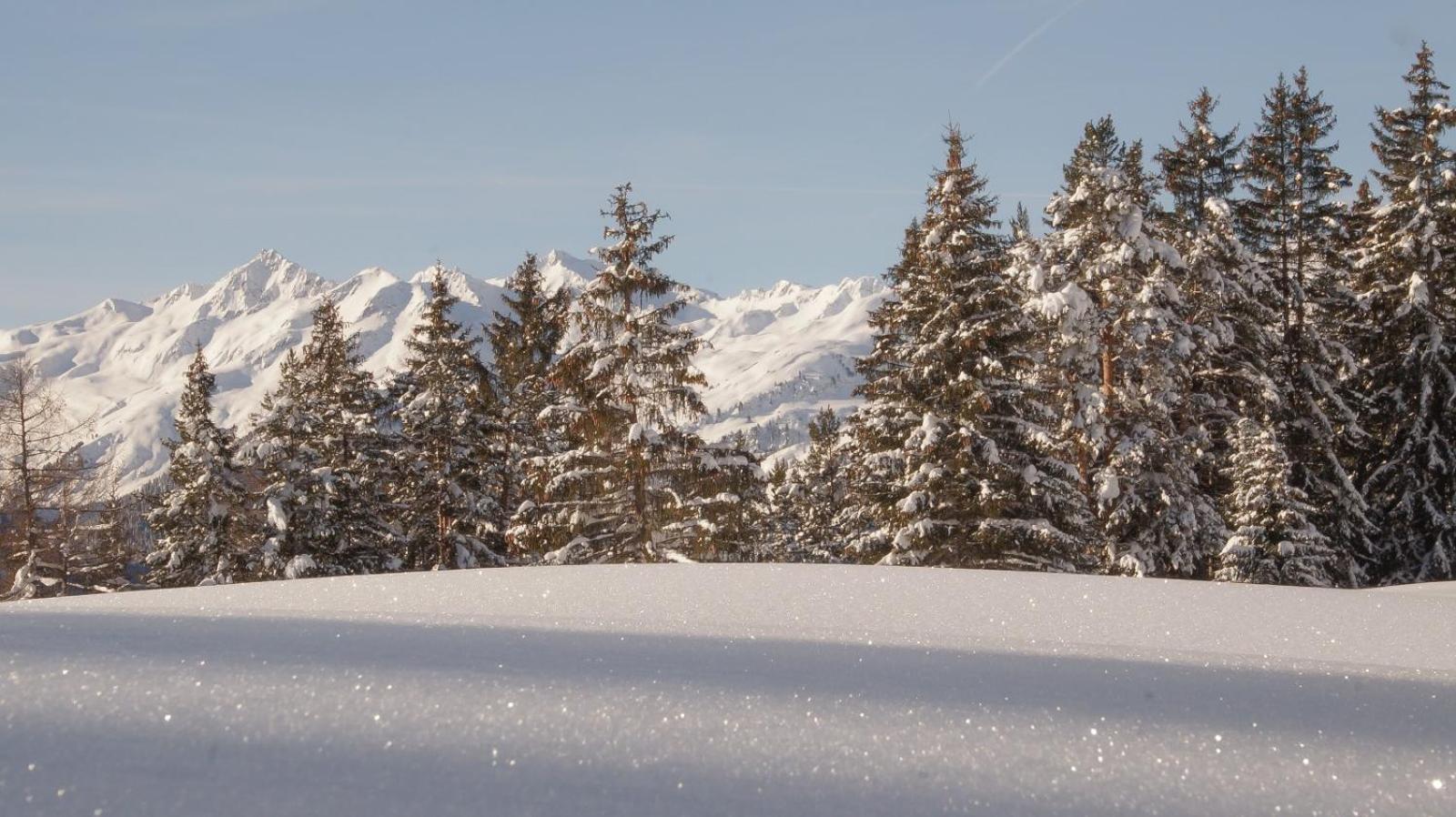 Bergblick-Pettneu