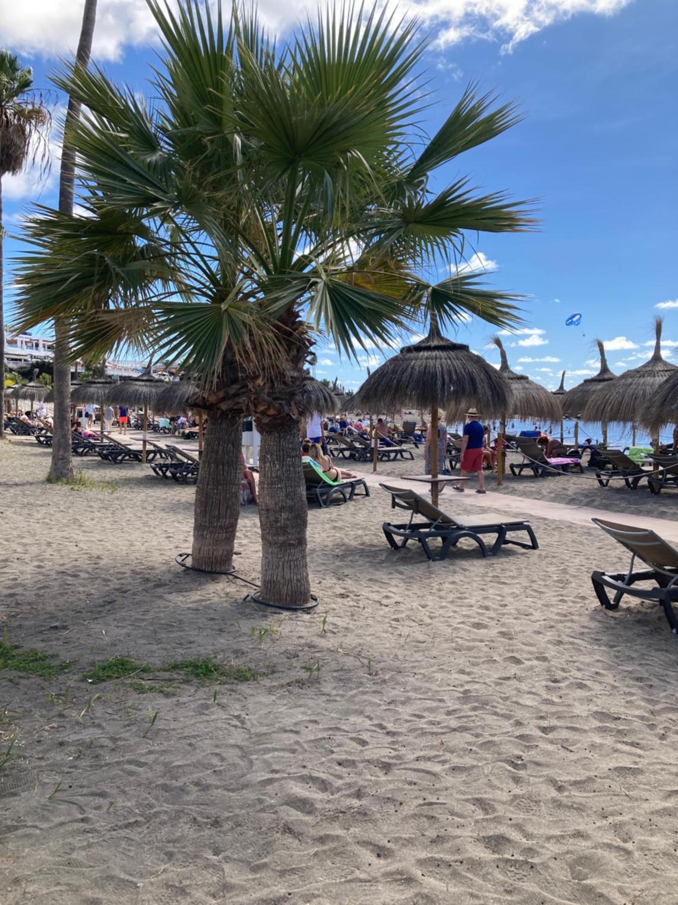 Beachfront Private Apartment in Pueblo Torviscas Sunset Harbour