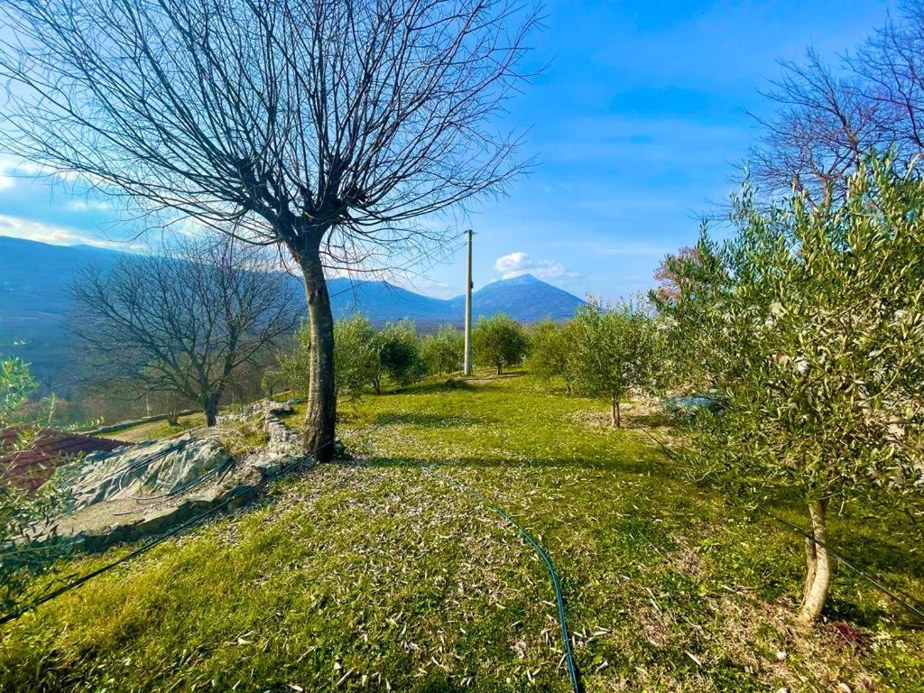 Etno Retreat Home Barovic