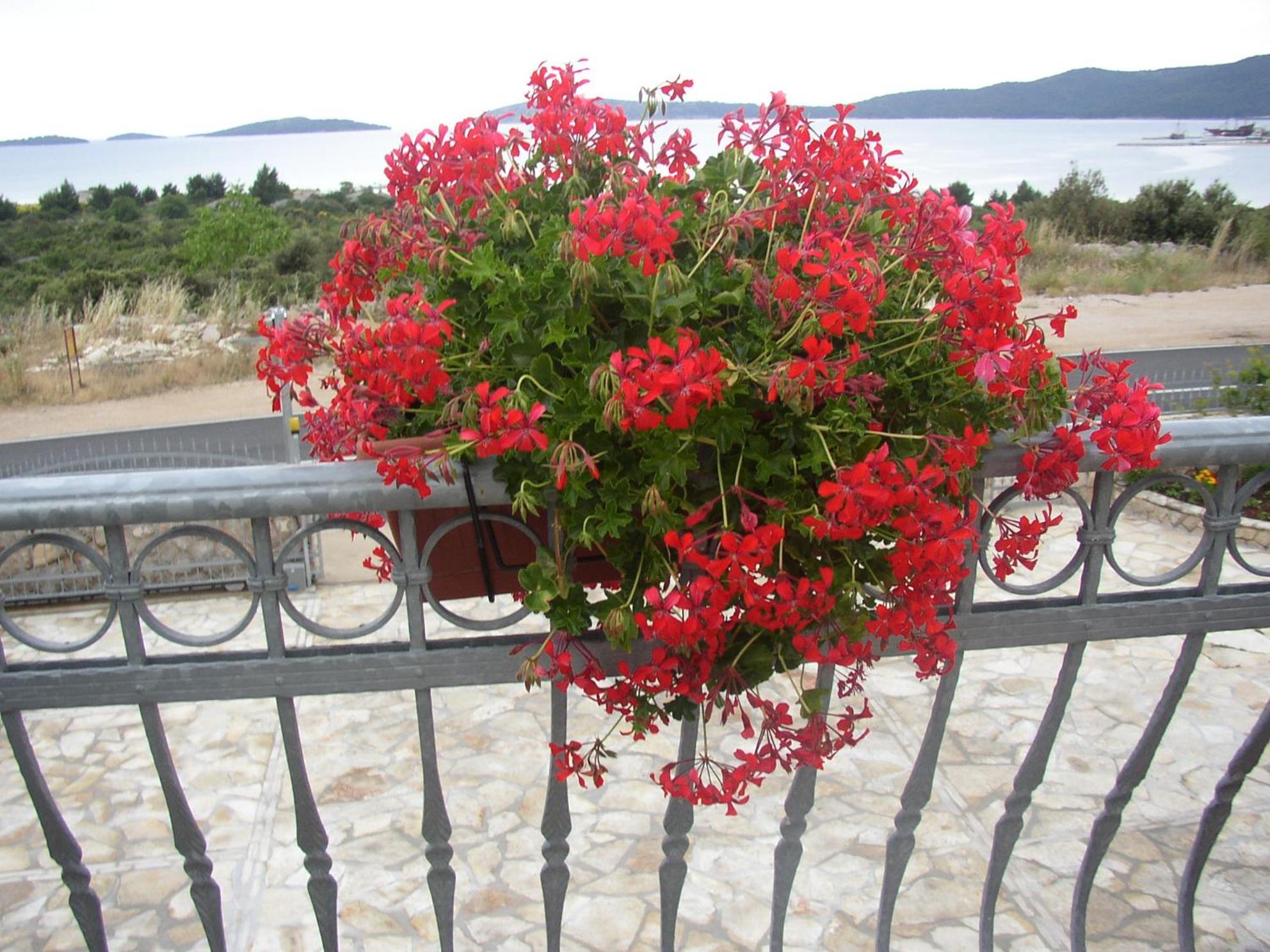 Photo 45
