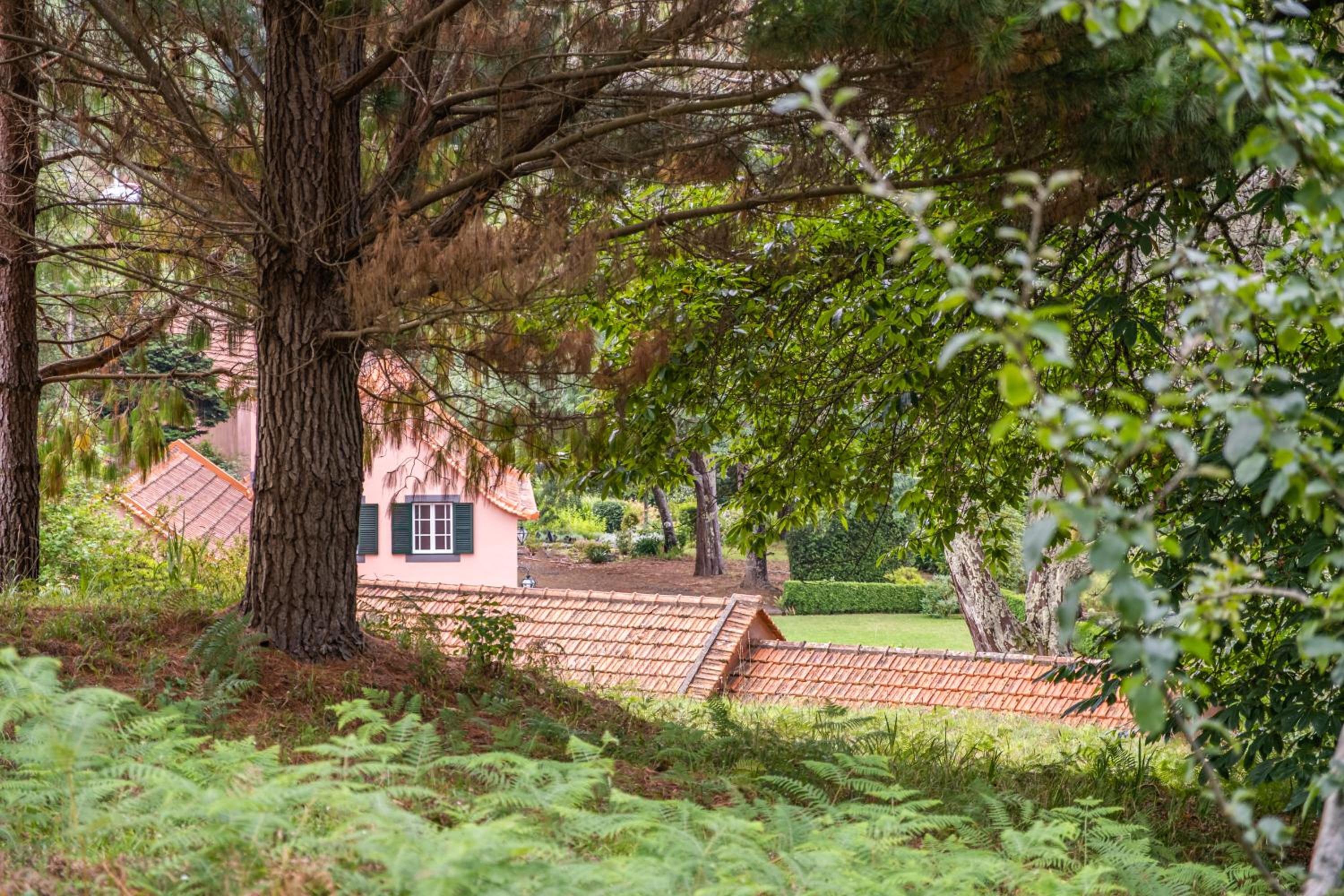 Casa dos Castanheiros