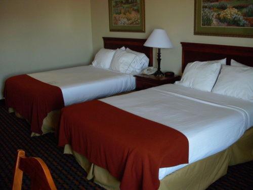 Holiday Inn Express Hotel & Suites Laurinburg by IHG view 2