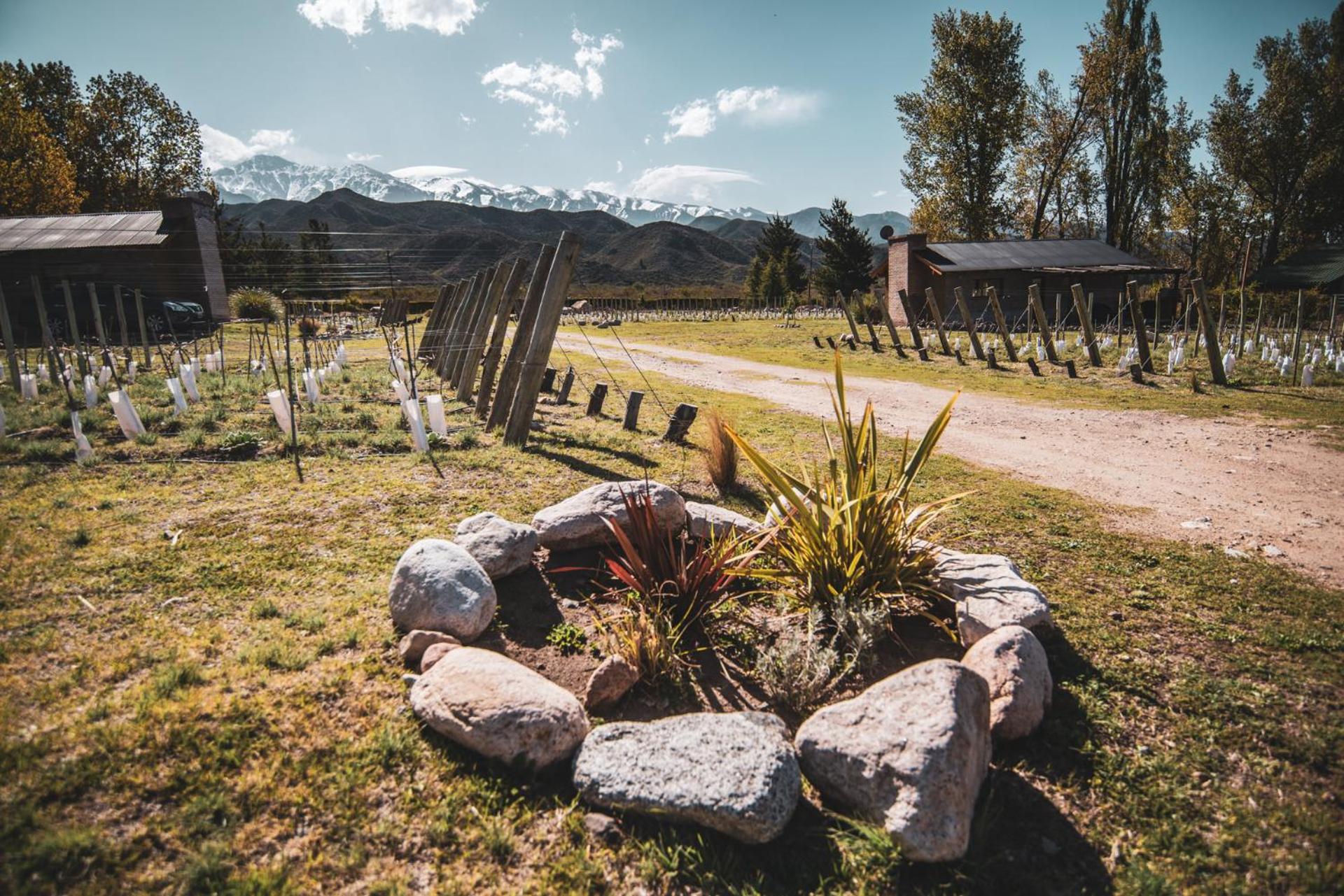 Ayres de Uco Lodge & Wine Lovers