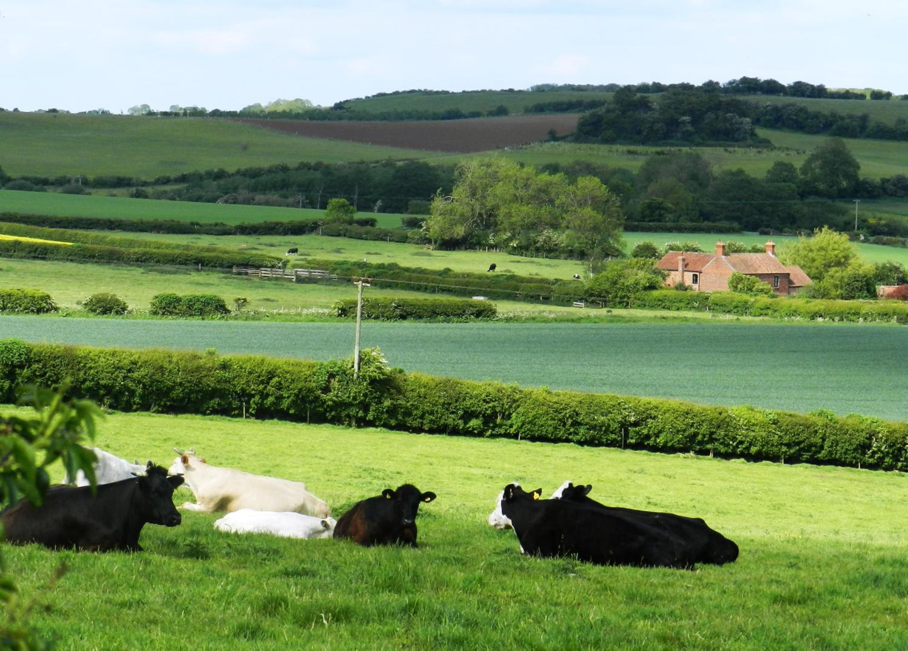 Manor House Stables, Martin - lovely warm cosy accommodation near Woodhall Spa view 3
