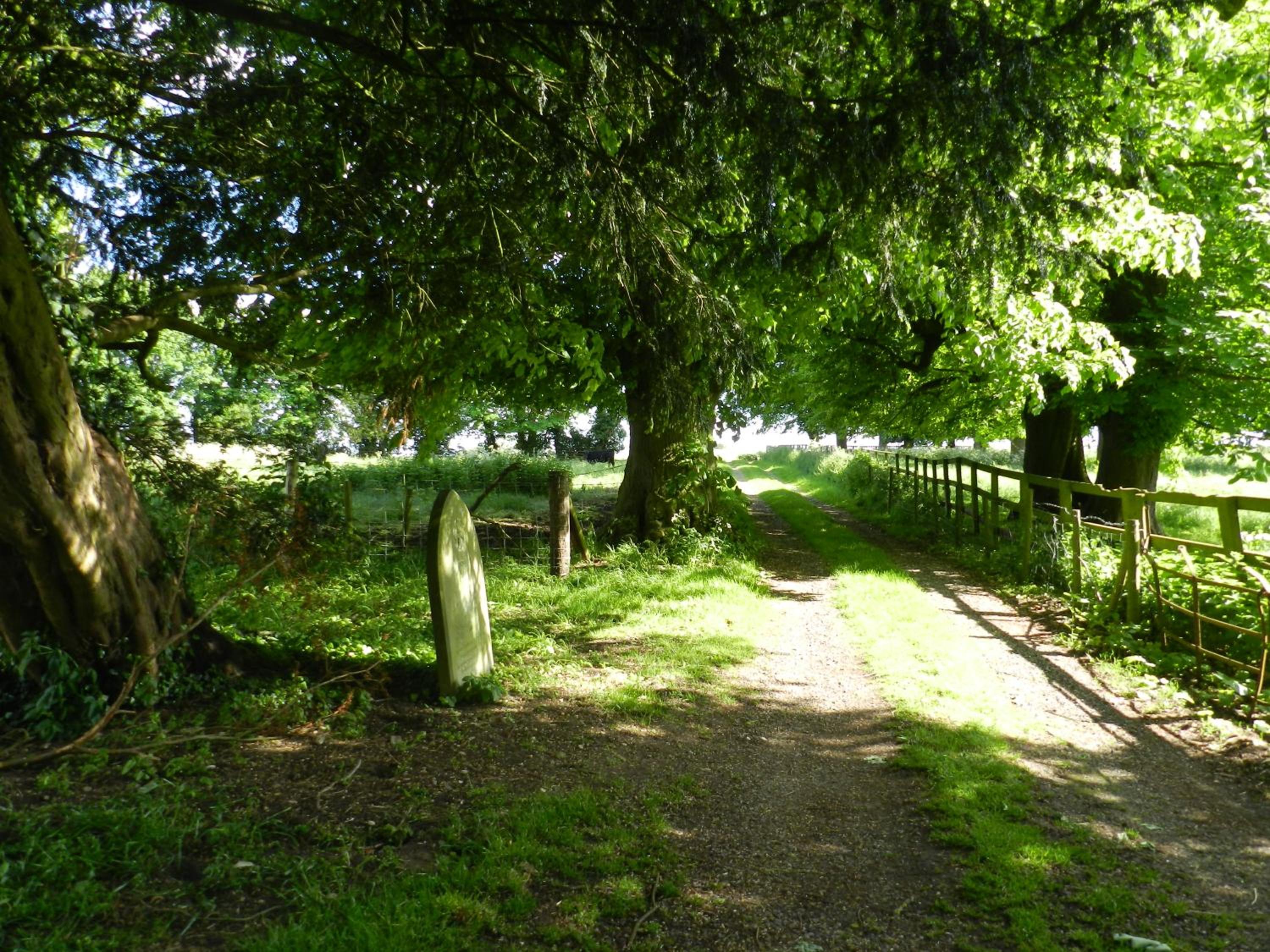 Manor House Stables, Martin - lovely warm cosy accommodation near Woodhall Spa view 5