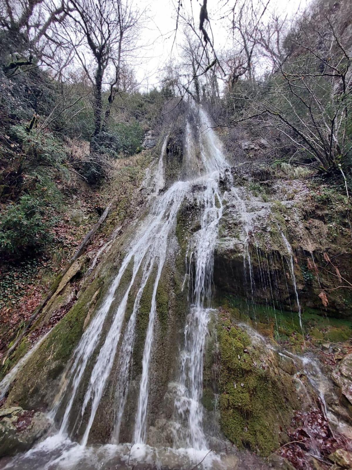 AlaiSuberri