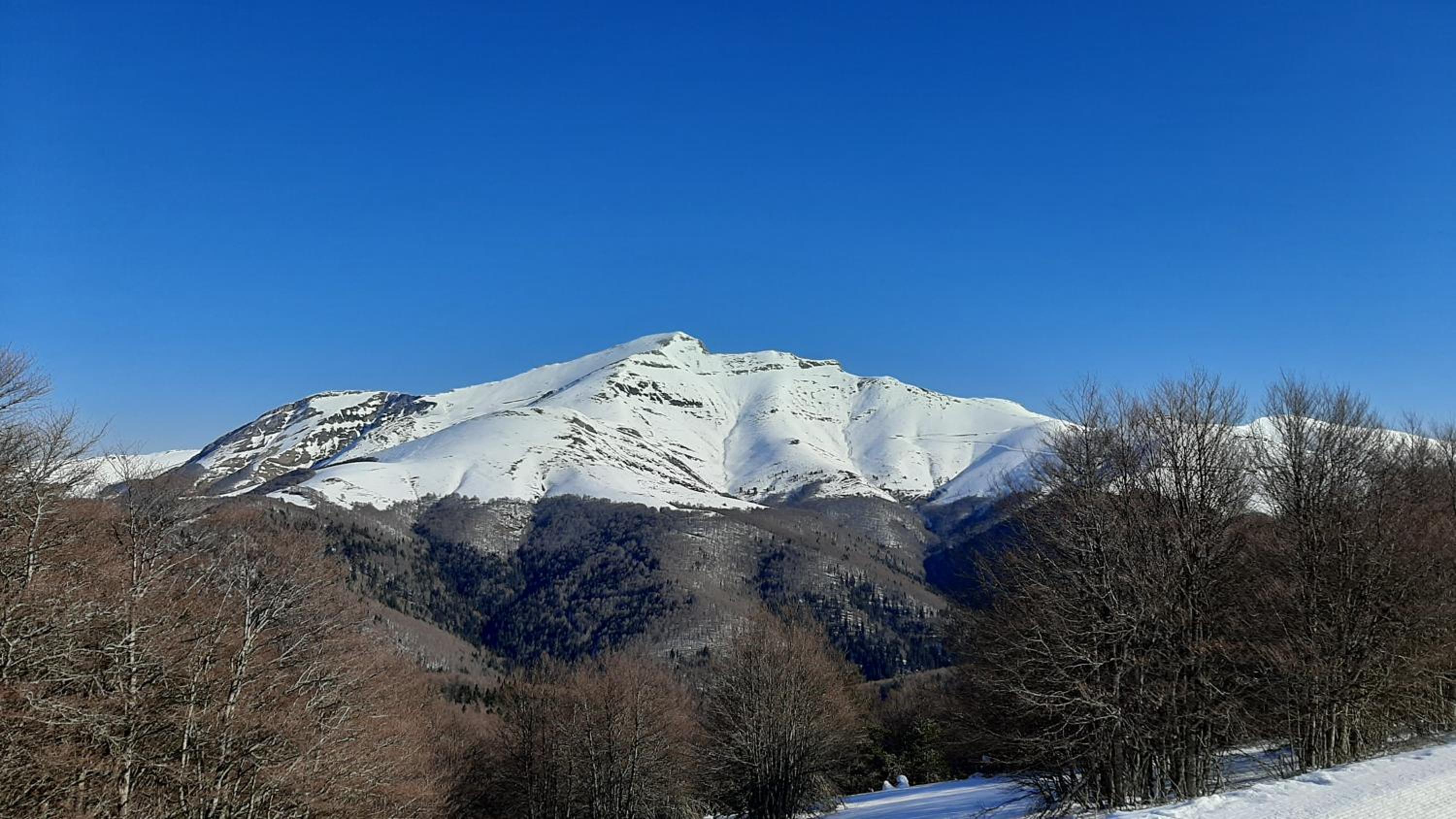 AlaiSuberri