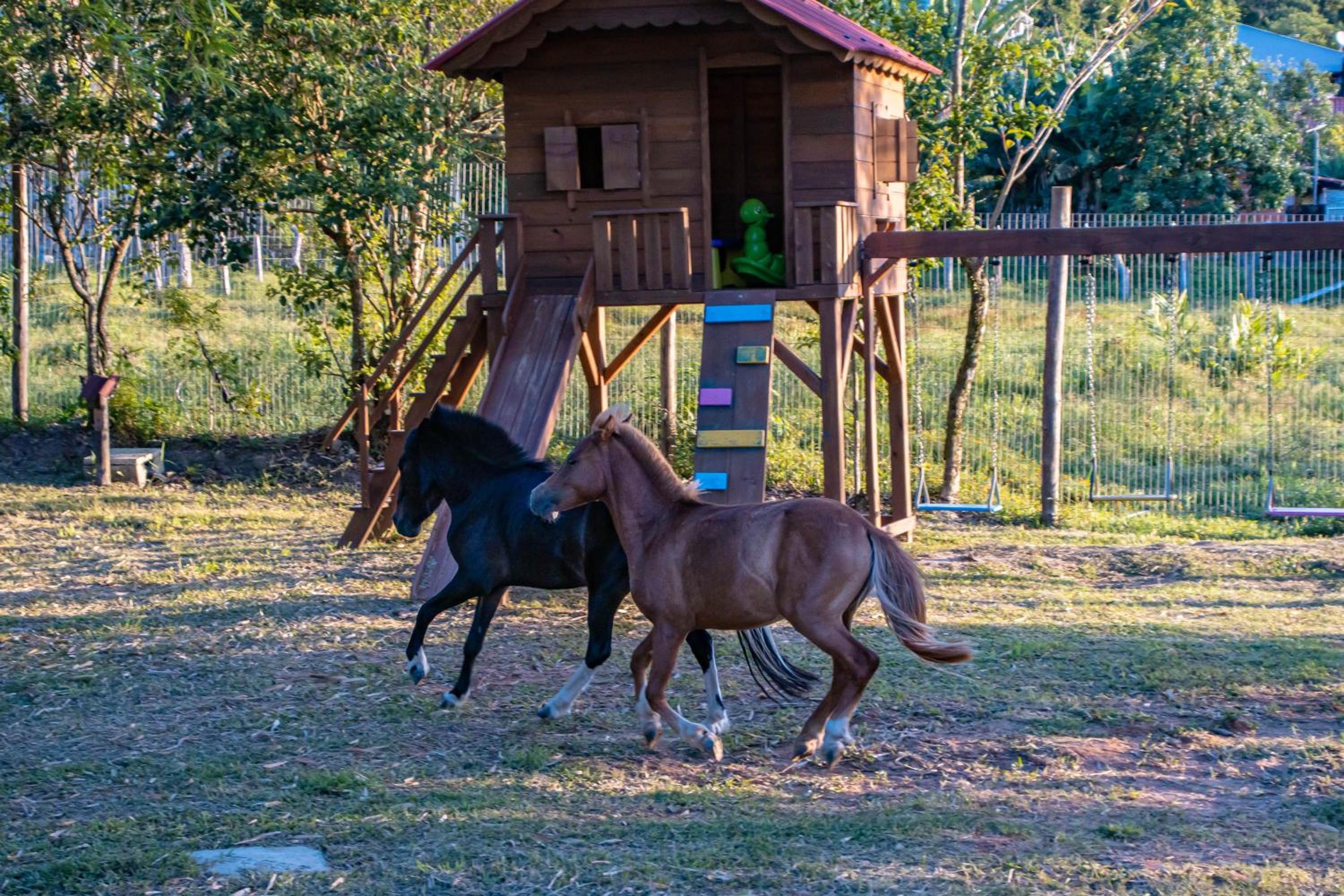 Villa Park Chalés - A sua fazendinha ao lado do Beto Carrero