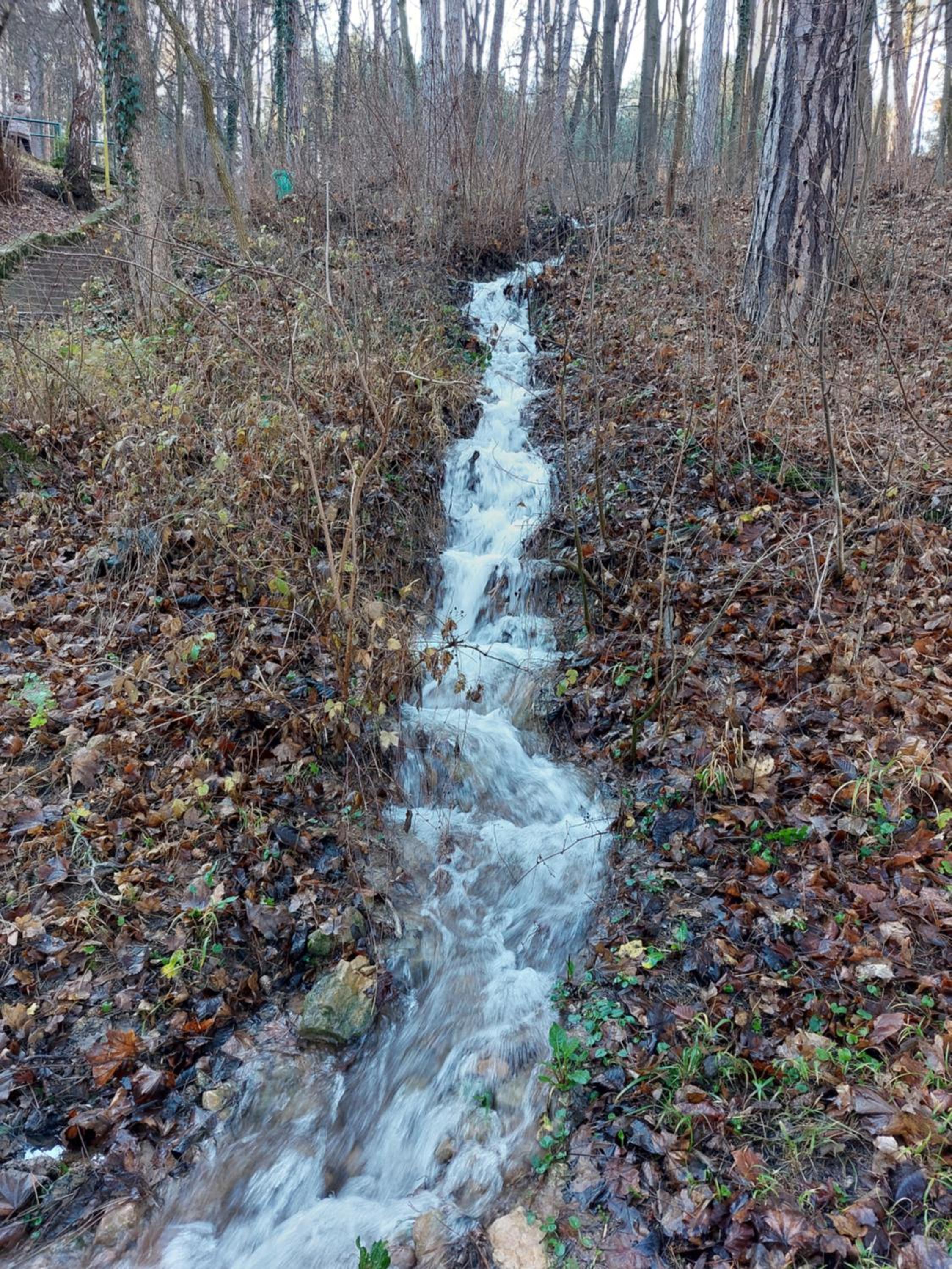 Photo 48