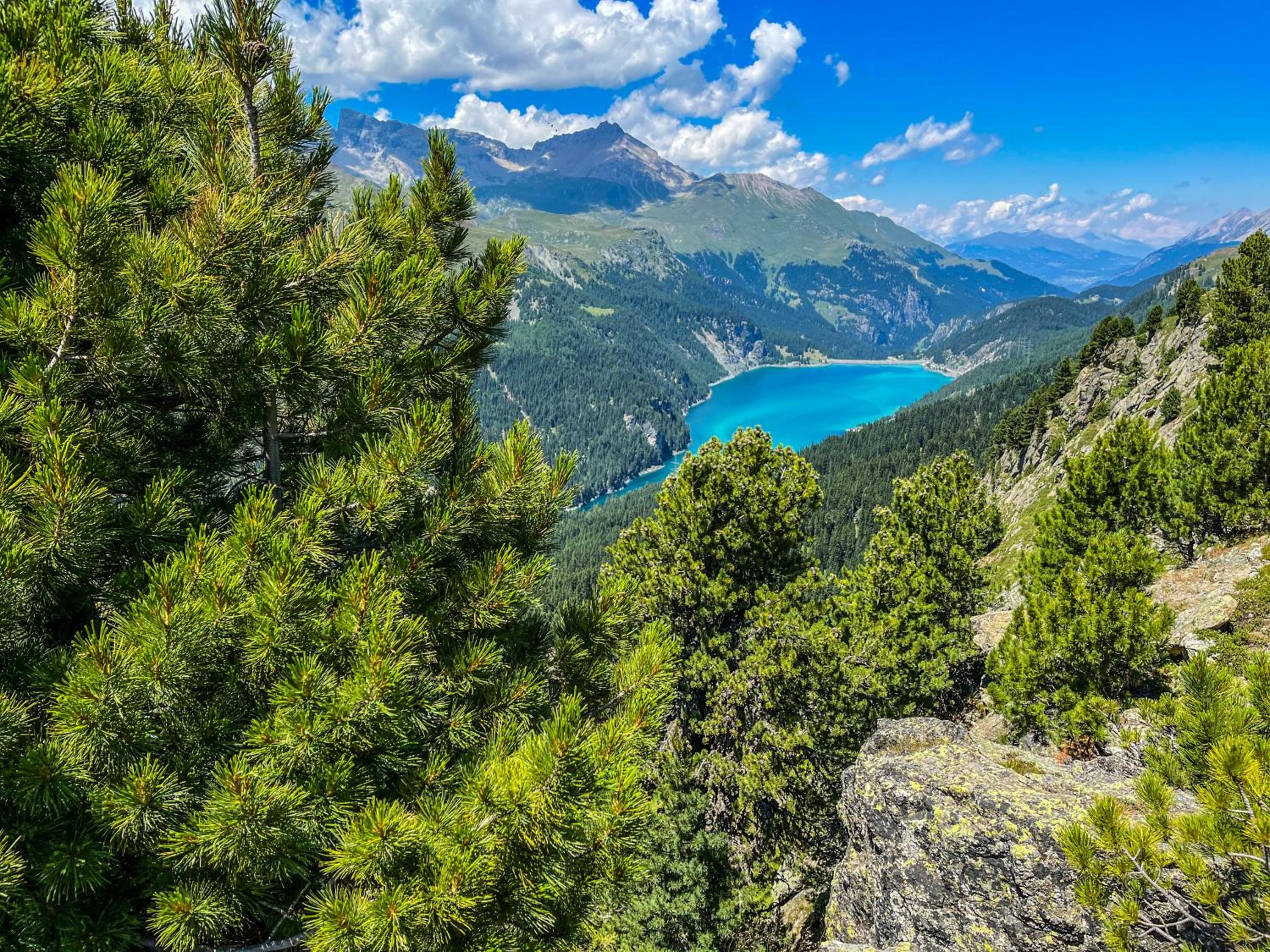 Heimelige Ferienwohnung mit Sicht in die Bergwelt