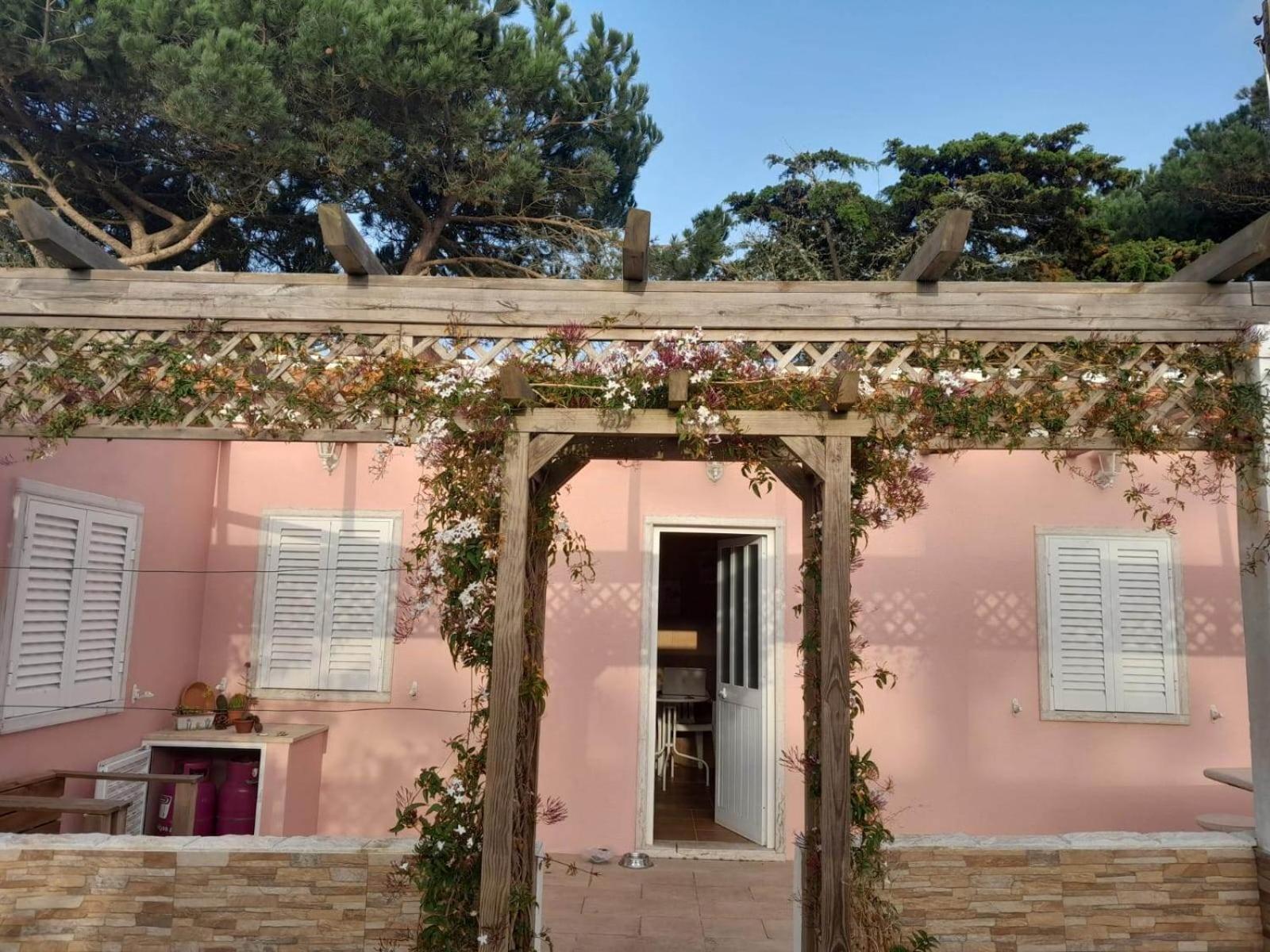 Casa dos Malmequeres view 5