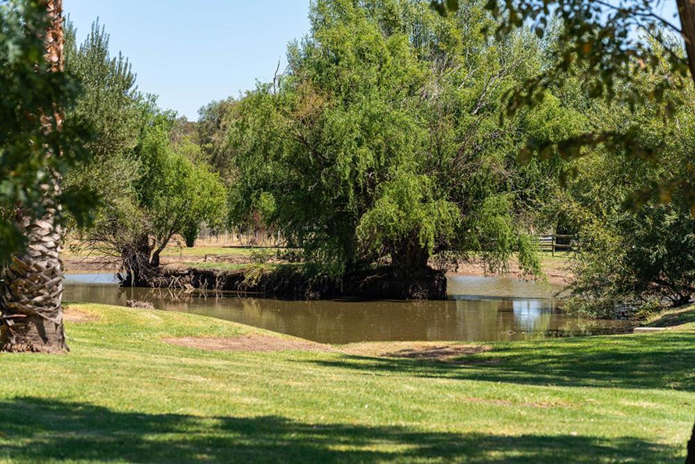 Horseshoe Tourist Park
