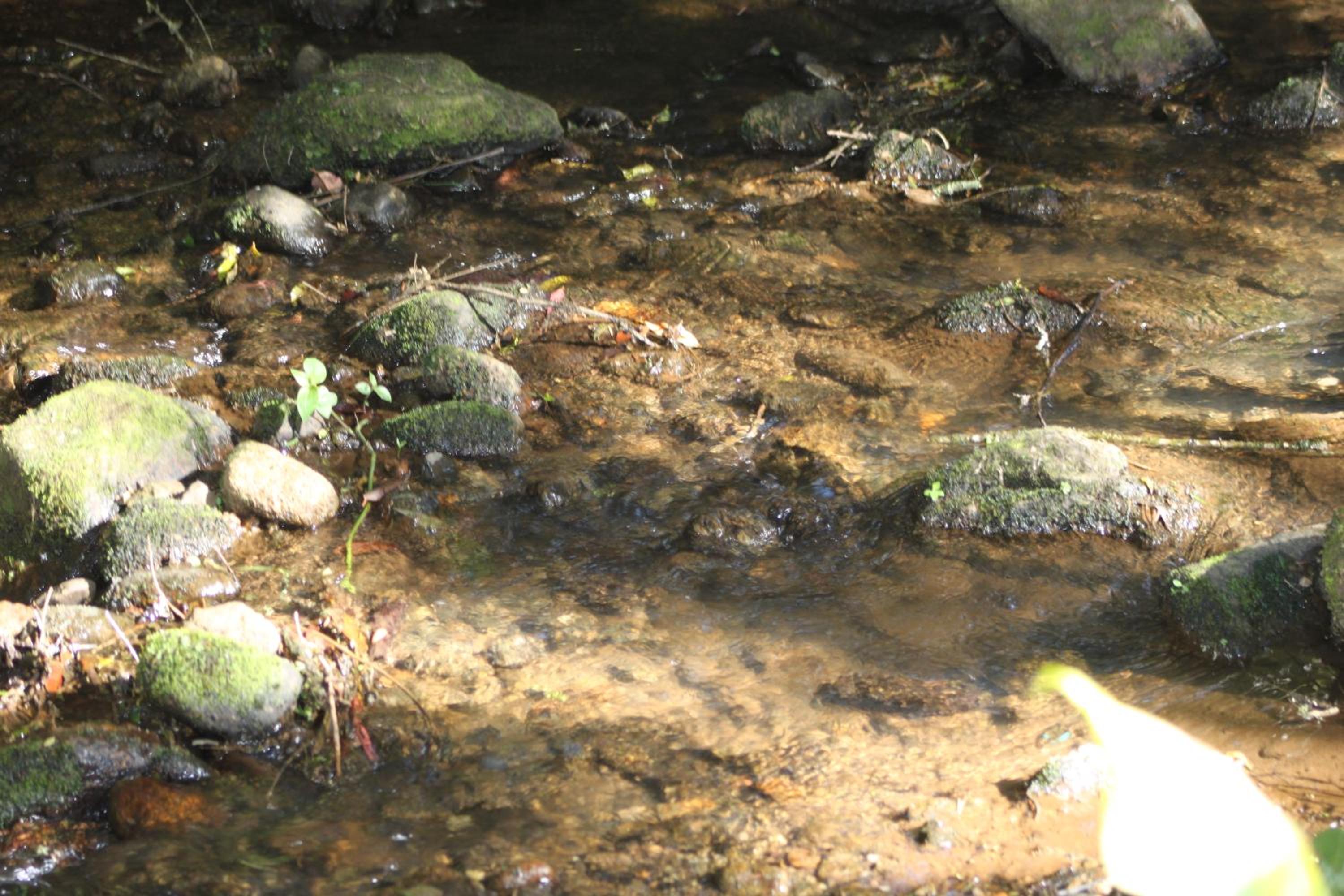 Chalé Verde Riacho Gonçalves
