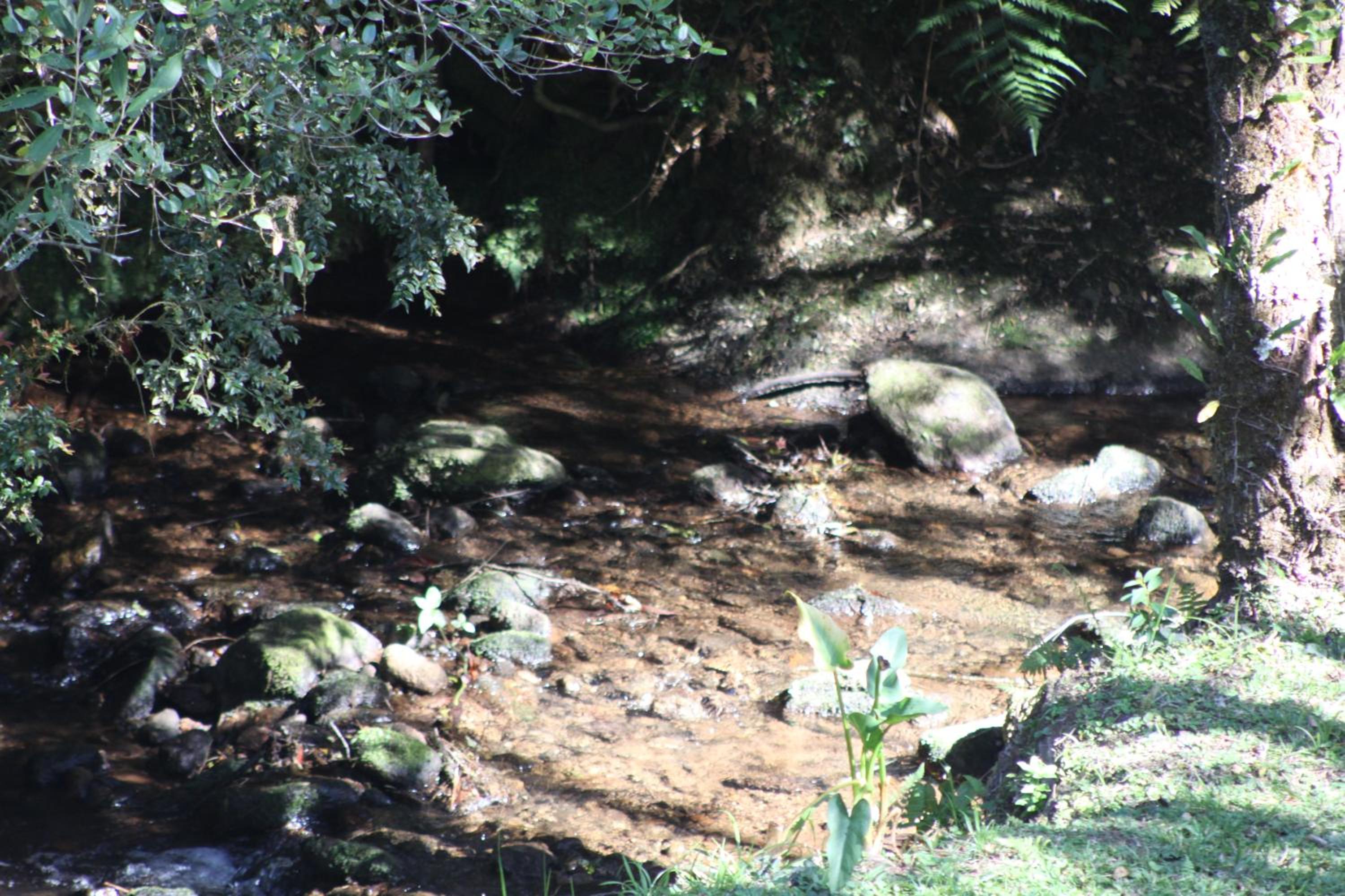 Chalé Verde Riacho Gonçalves