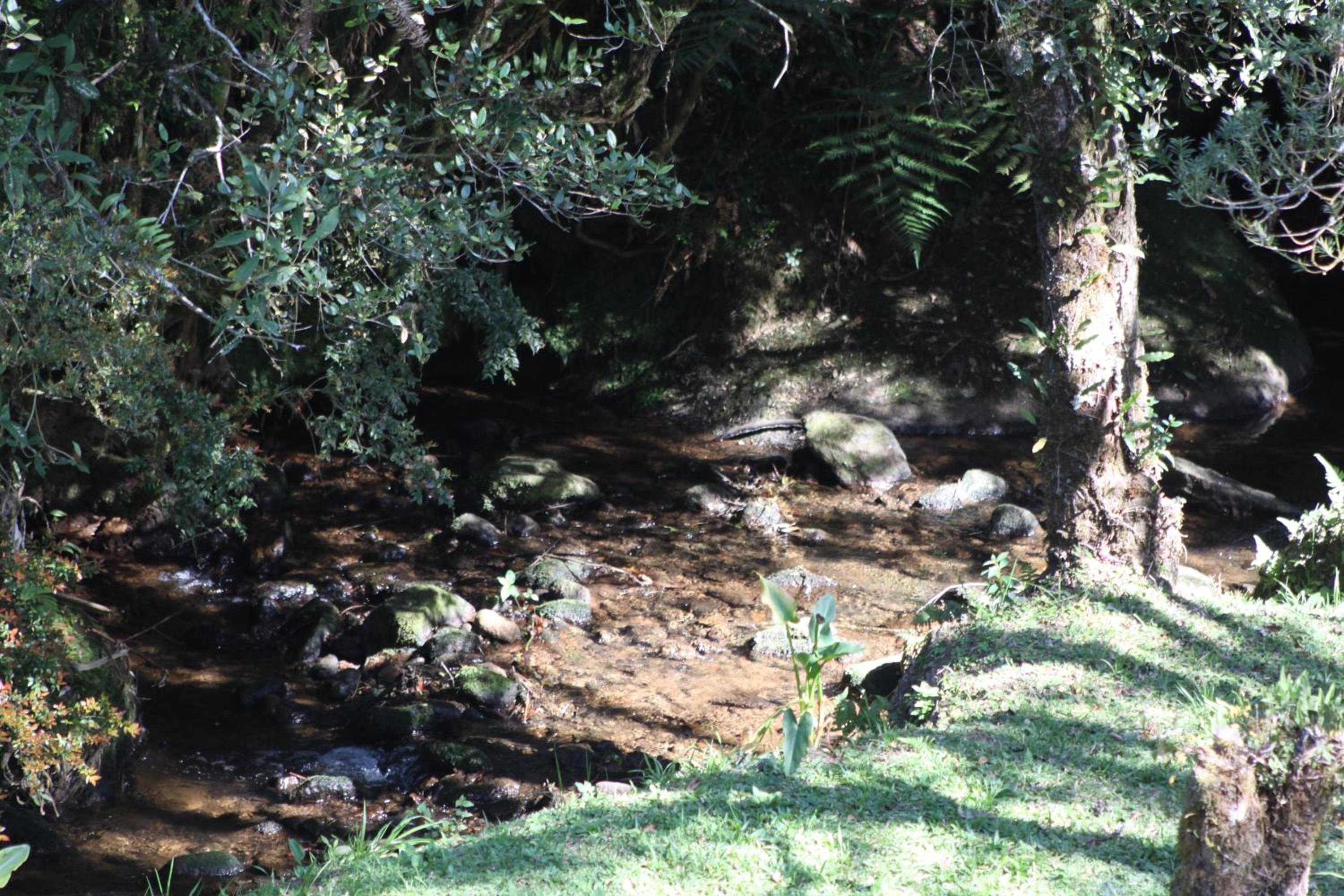 Chalé Verde Riacho Gonçalves