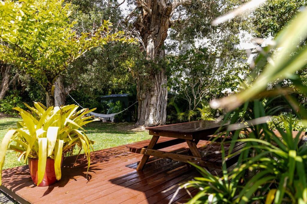 BEACHED @ YAMBA (water views, dog friendly, air con)