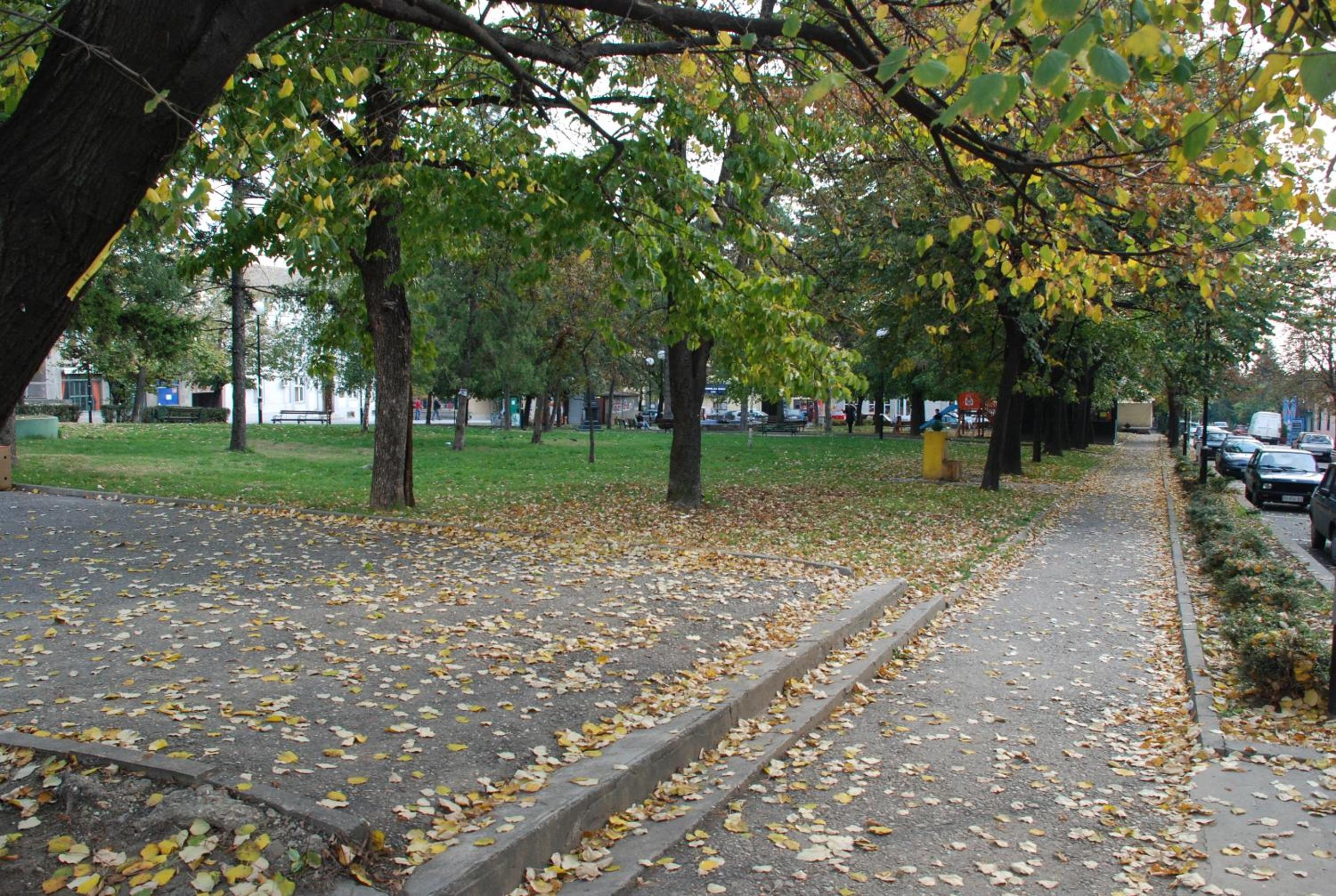 Photo 34