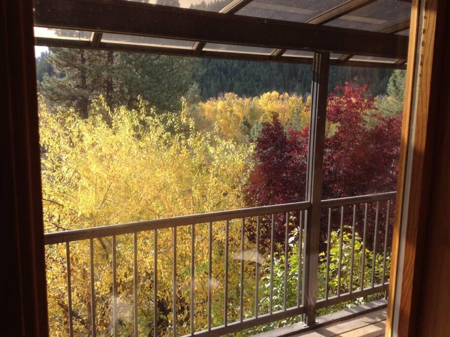 Hummingbird Hill Resort: Hot Tub, Views, Wildlife, 3D movies, Hiking, Bikes, Sleds, Games, Kids & Pets Love It view 5