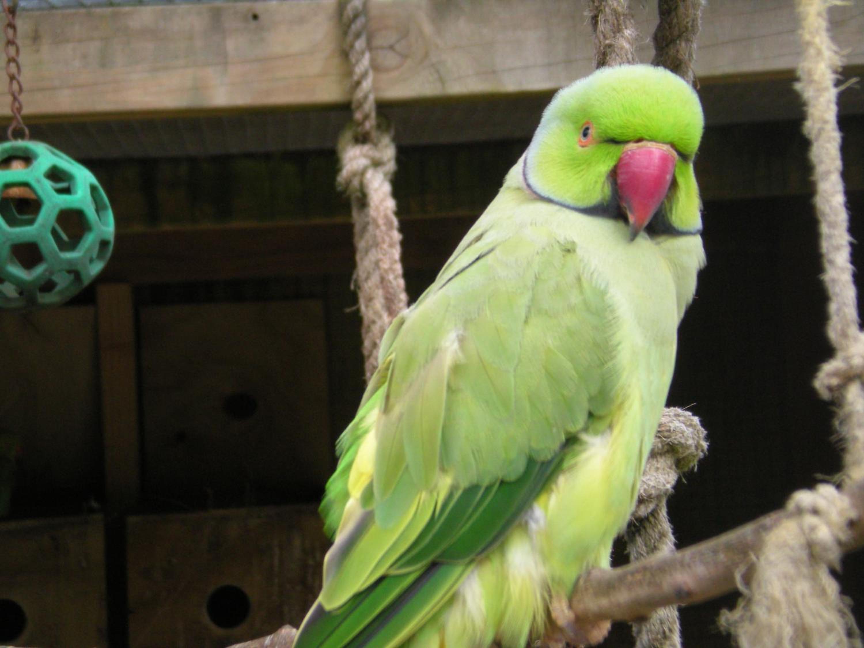 Westport Kiwi Holiday Park & Motels