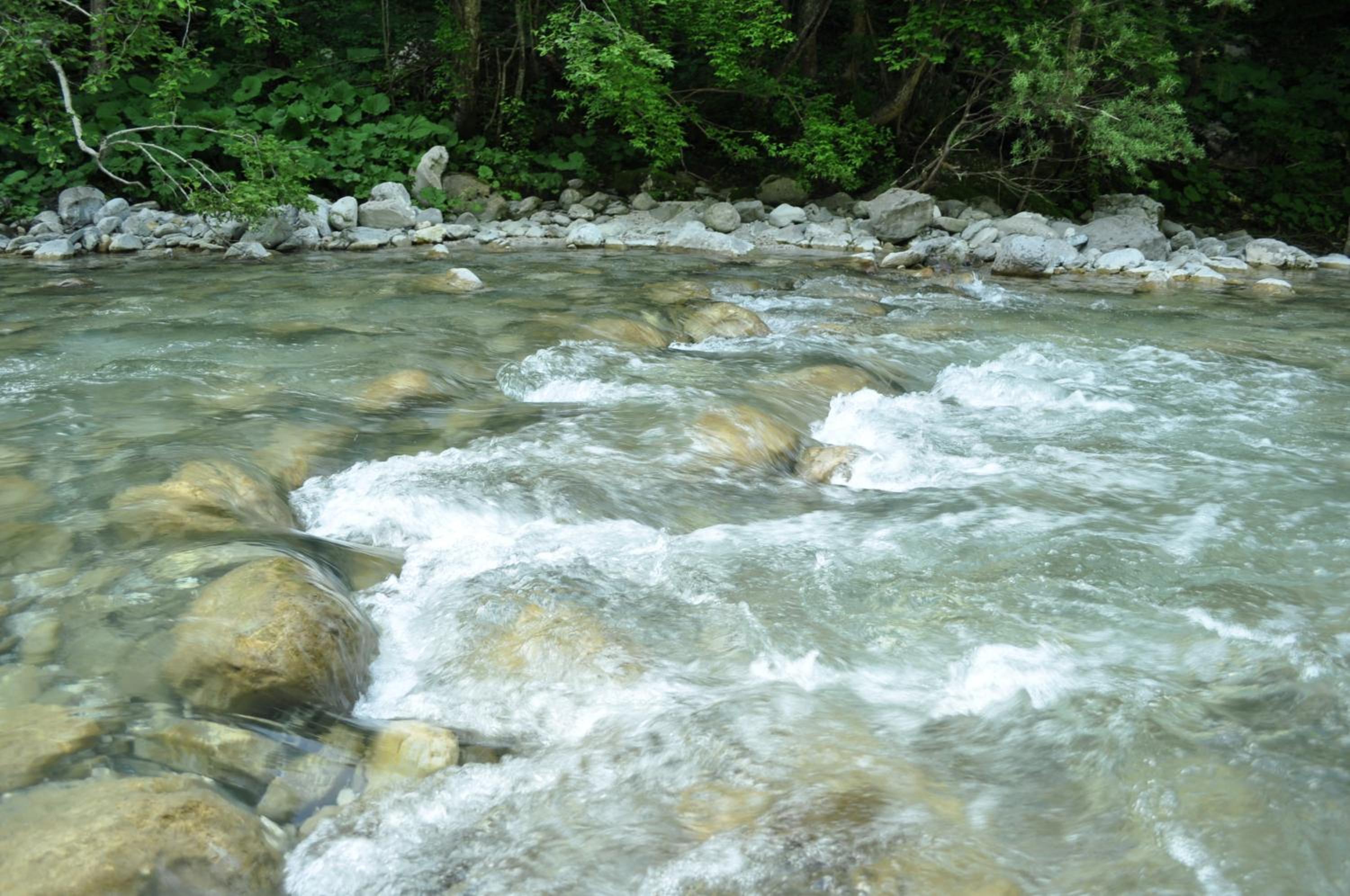 Photo 52