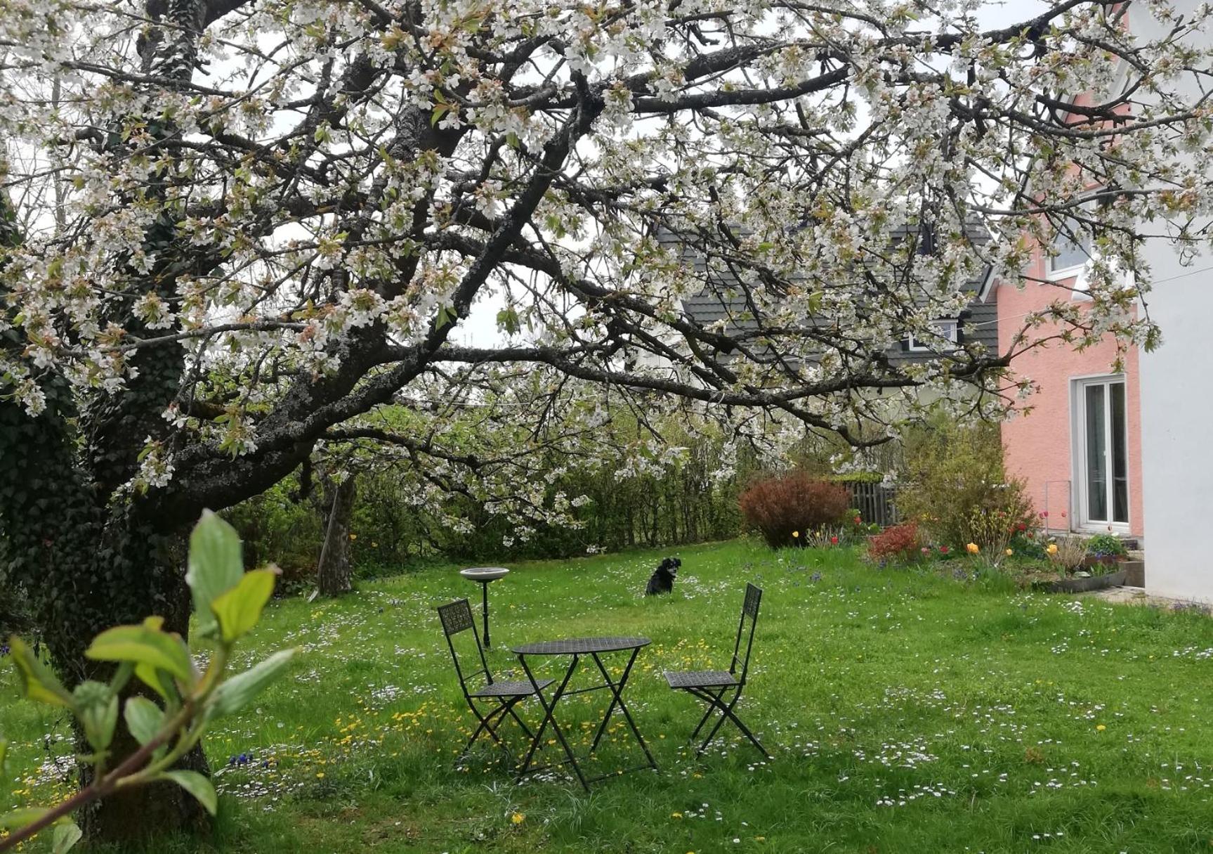 Haus Rosenbusch
