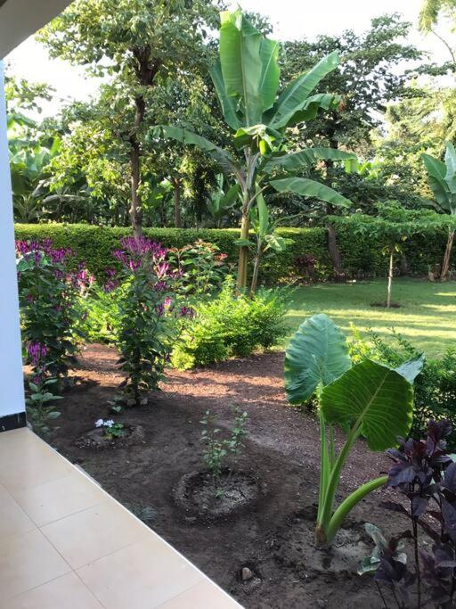 Photo 24
