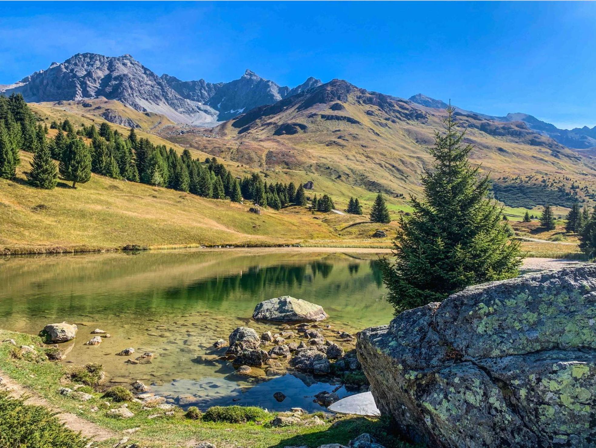 Heimelige Ferienwohnung mit Sicht in die Bergwelt