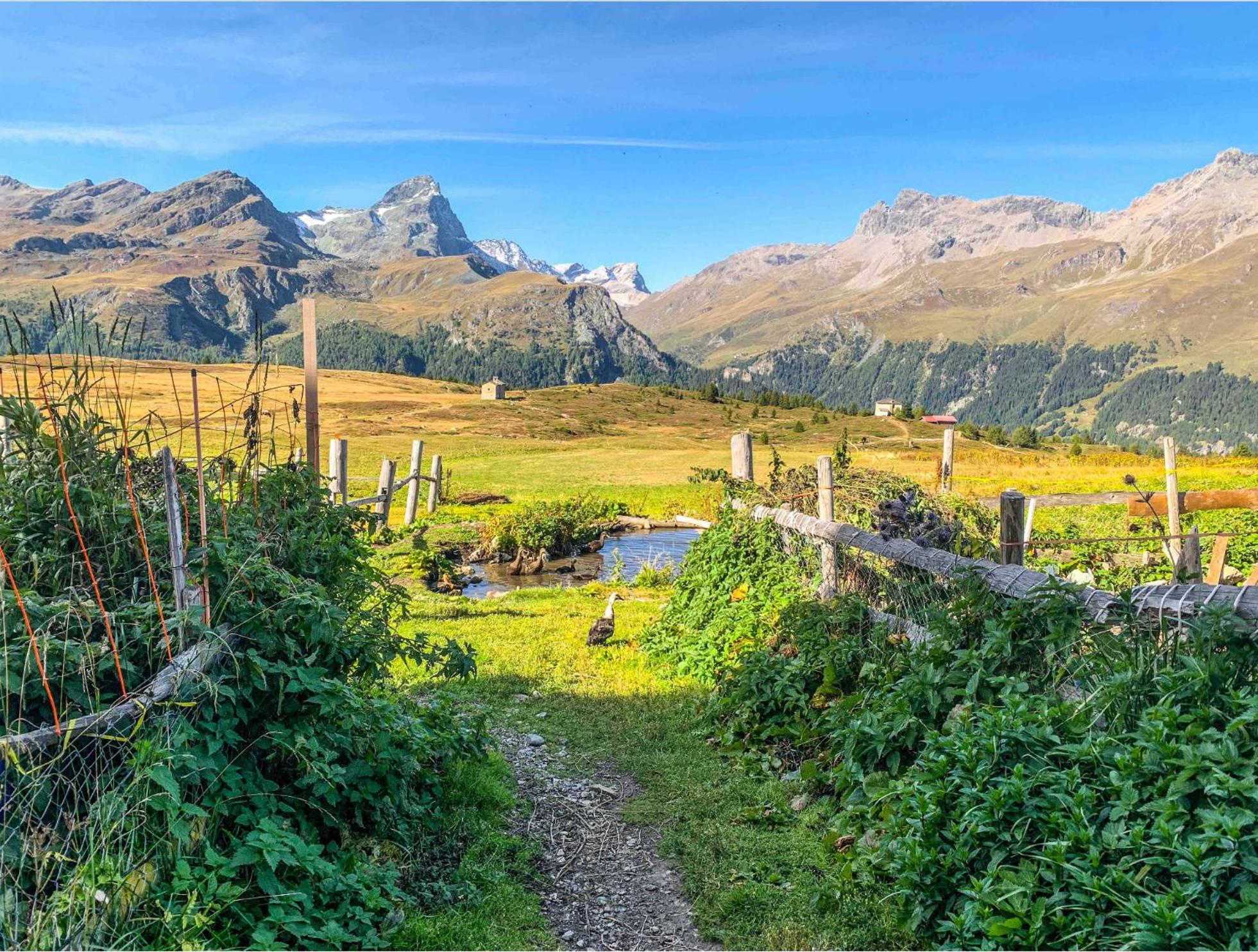 Heimelige Ferienwohnung mit Sicht in die Bergwelt