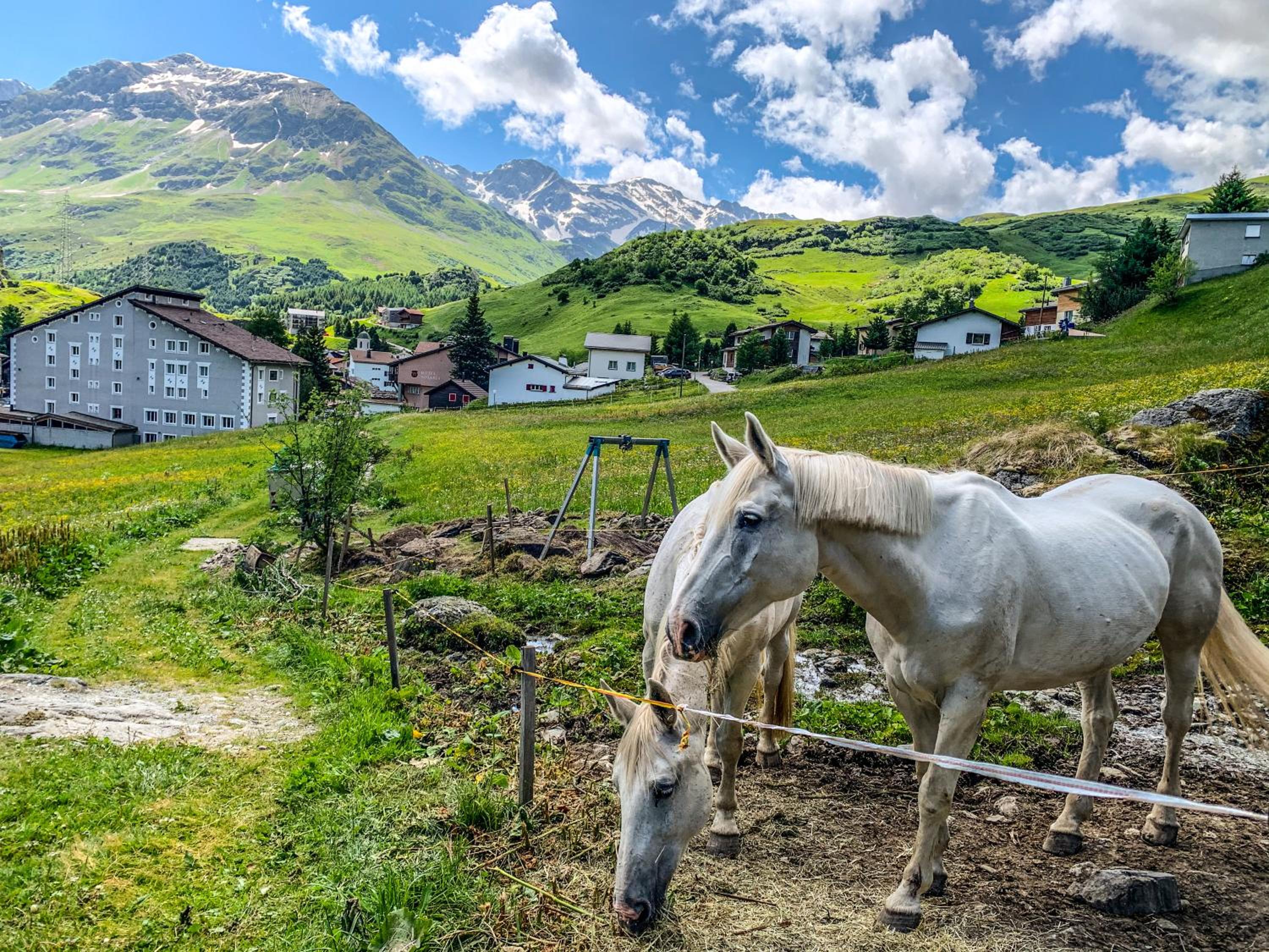 Heimelige Ferienwohnung mit Sicht in die Bergwelt