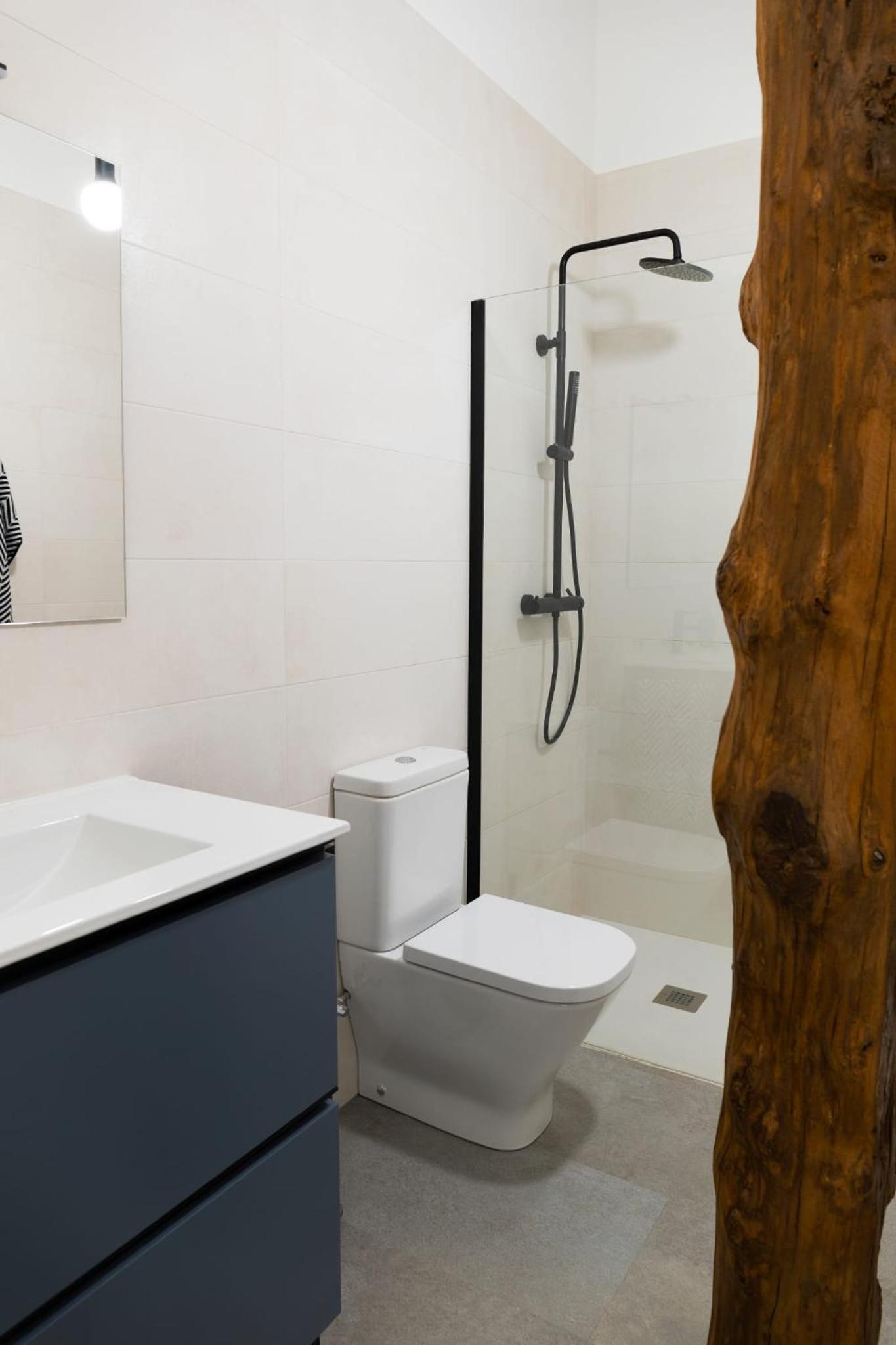 Apartamentos en Baztan HIRU KABI, HIGA