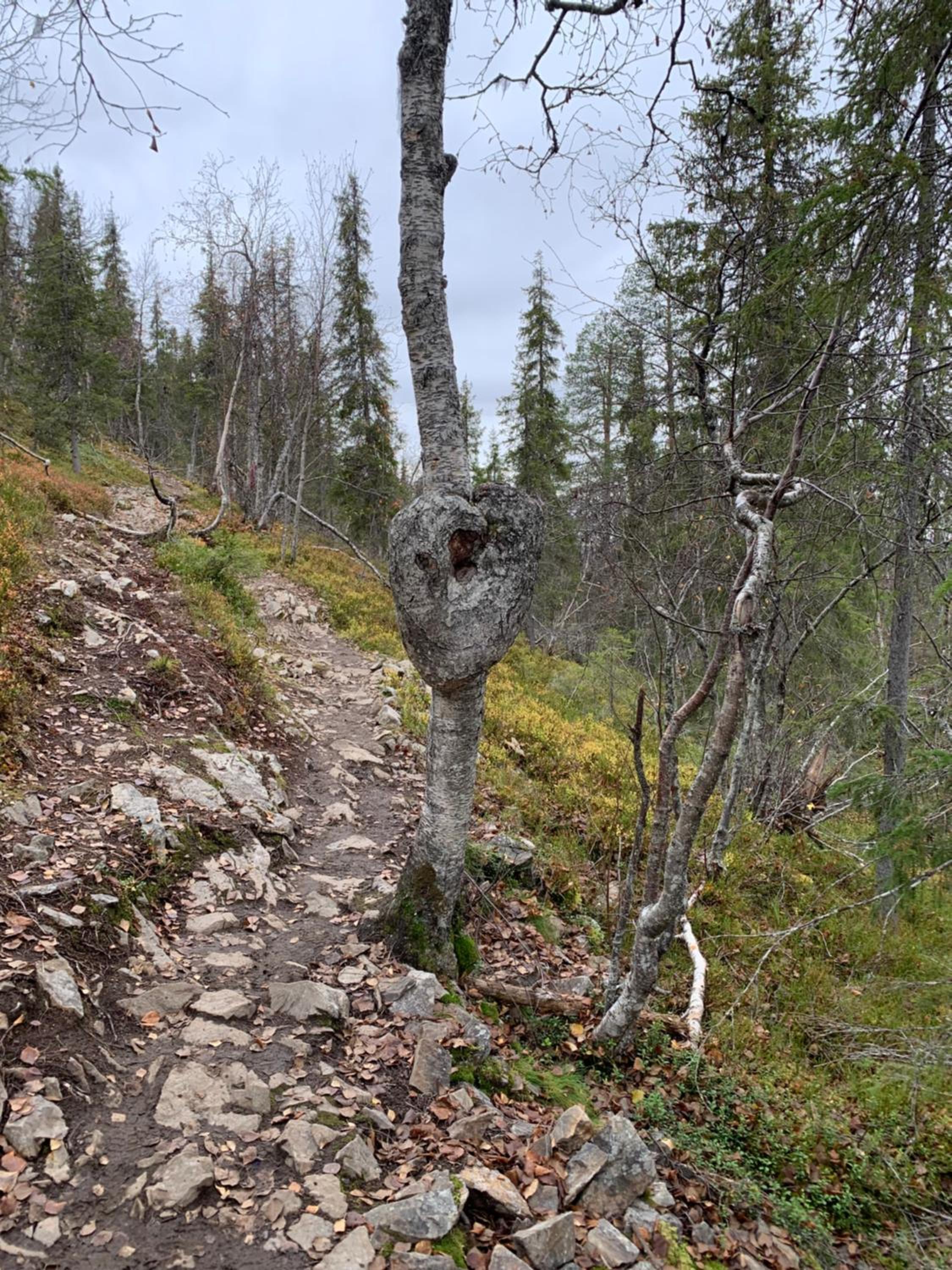 Photo 50