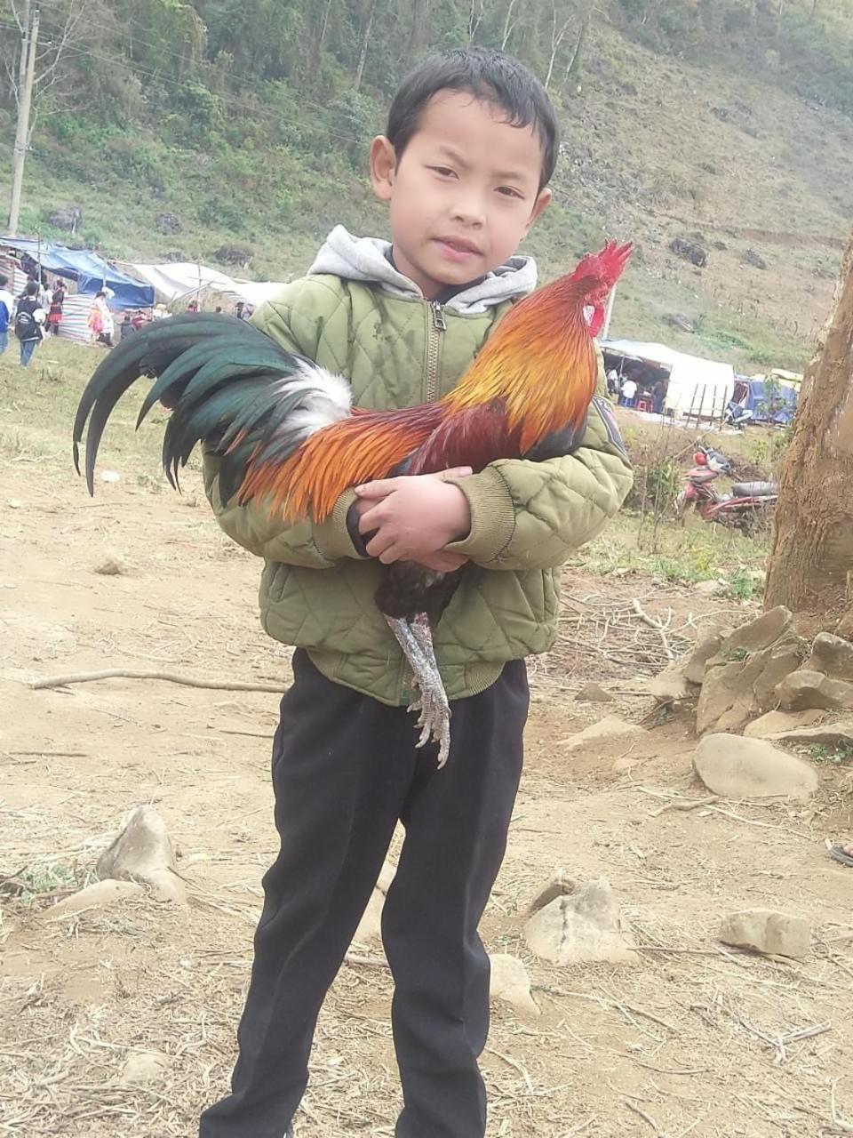 human