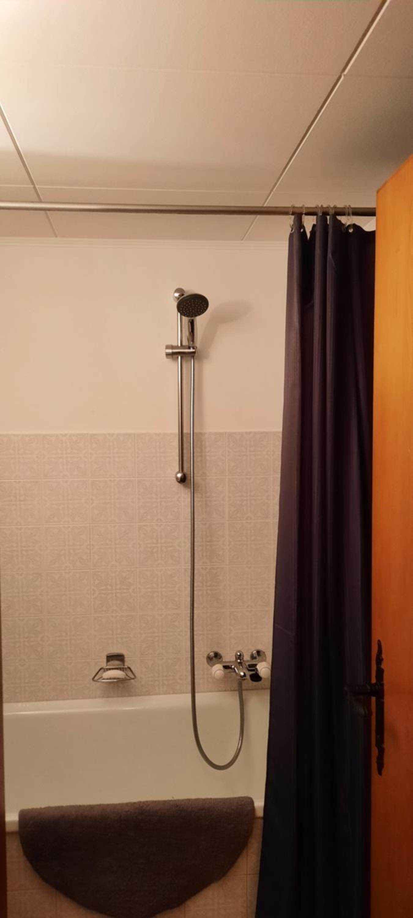Bouleaux G2 view 4