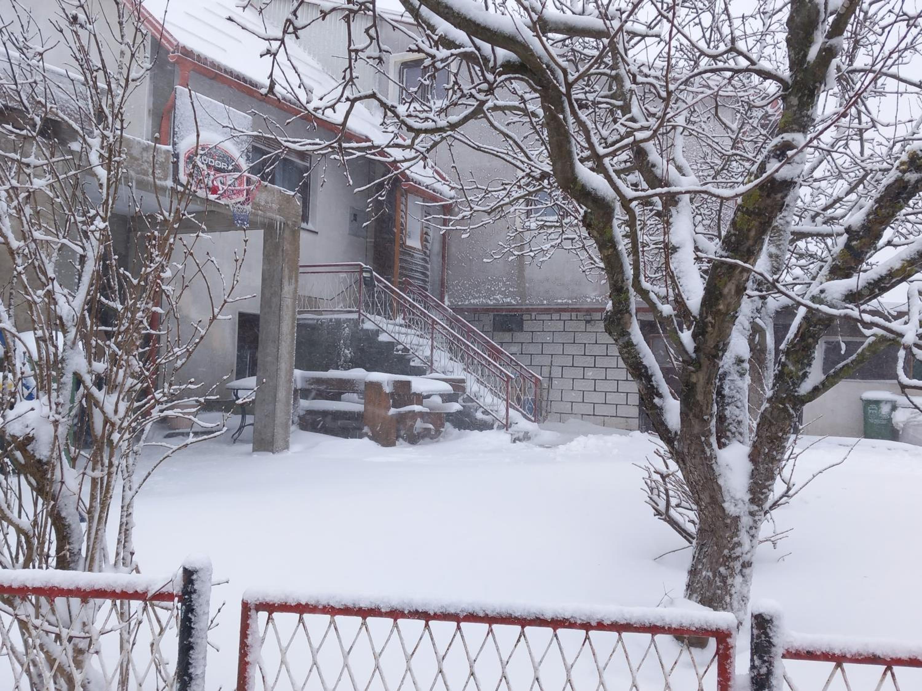 Apartman Purga
