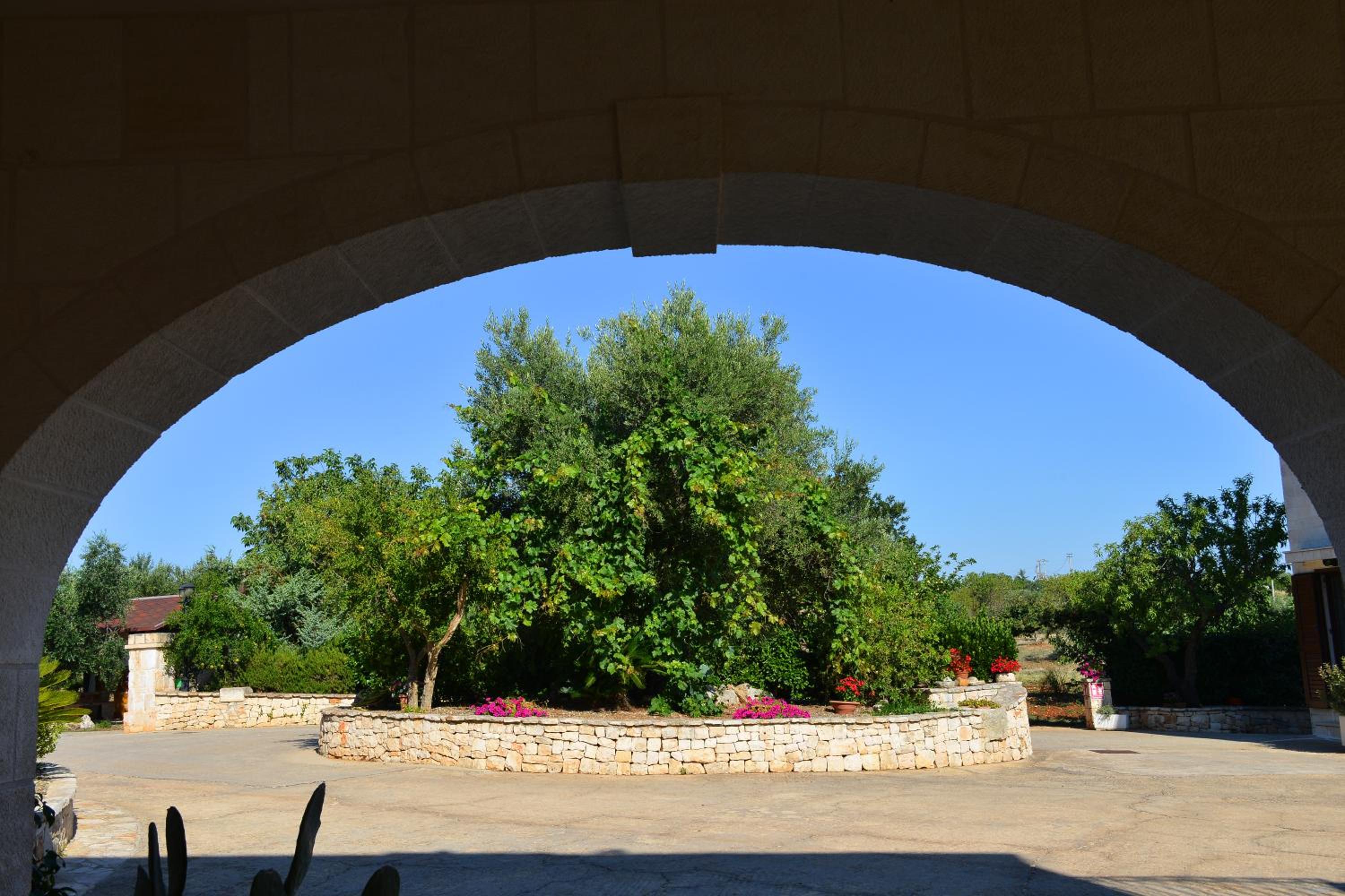 Masseria Peppeturro