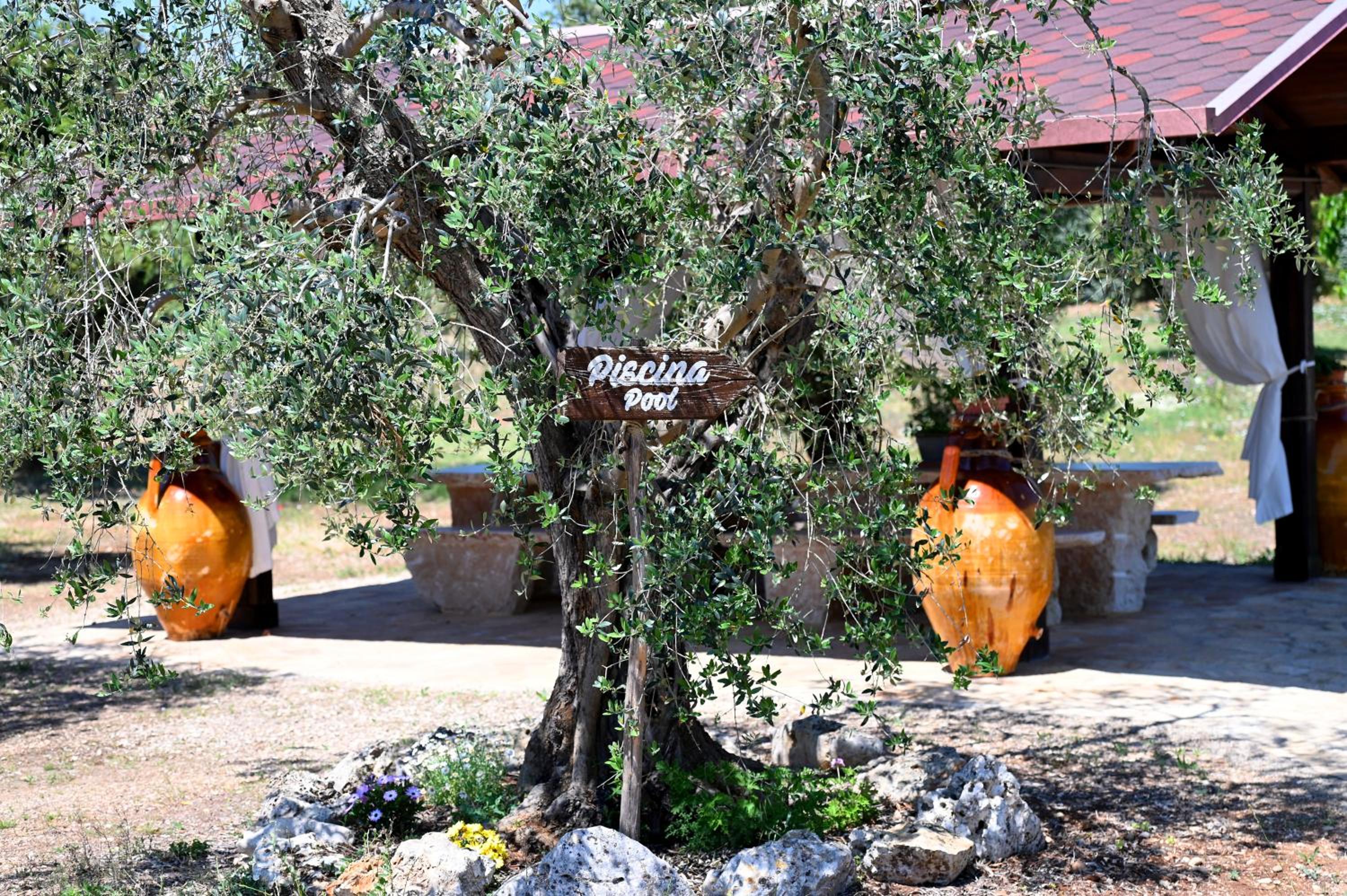Masseria Peppeturro