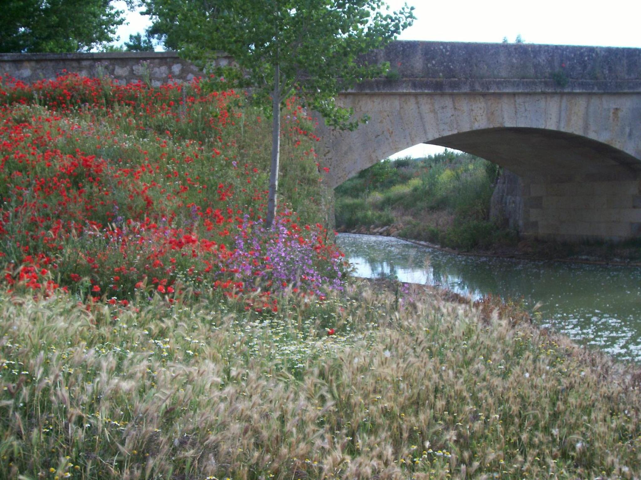 Quinta del Canal