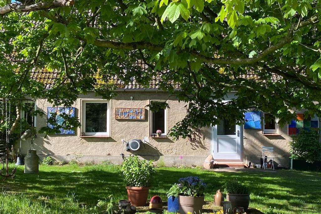 Landhaus Lange3 Moderne Kunst