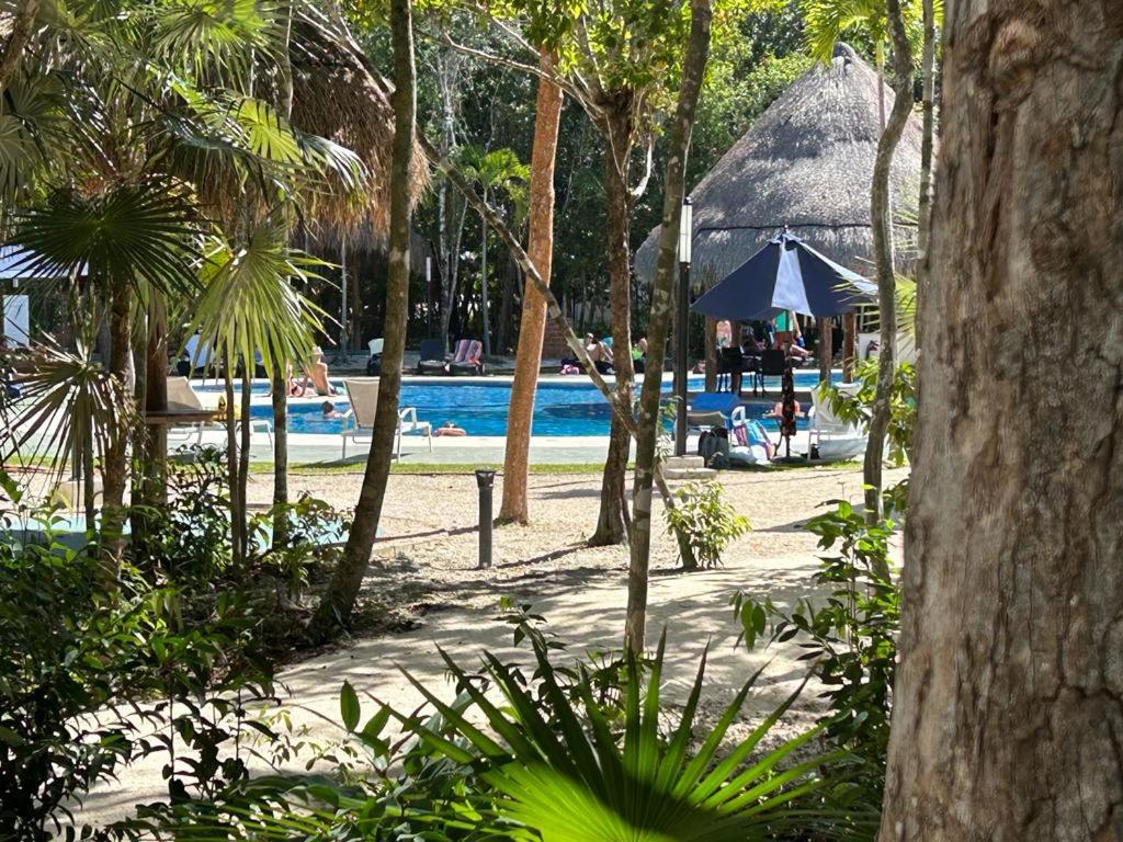 Hotel NANA’S Apartments - Image 1