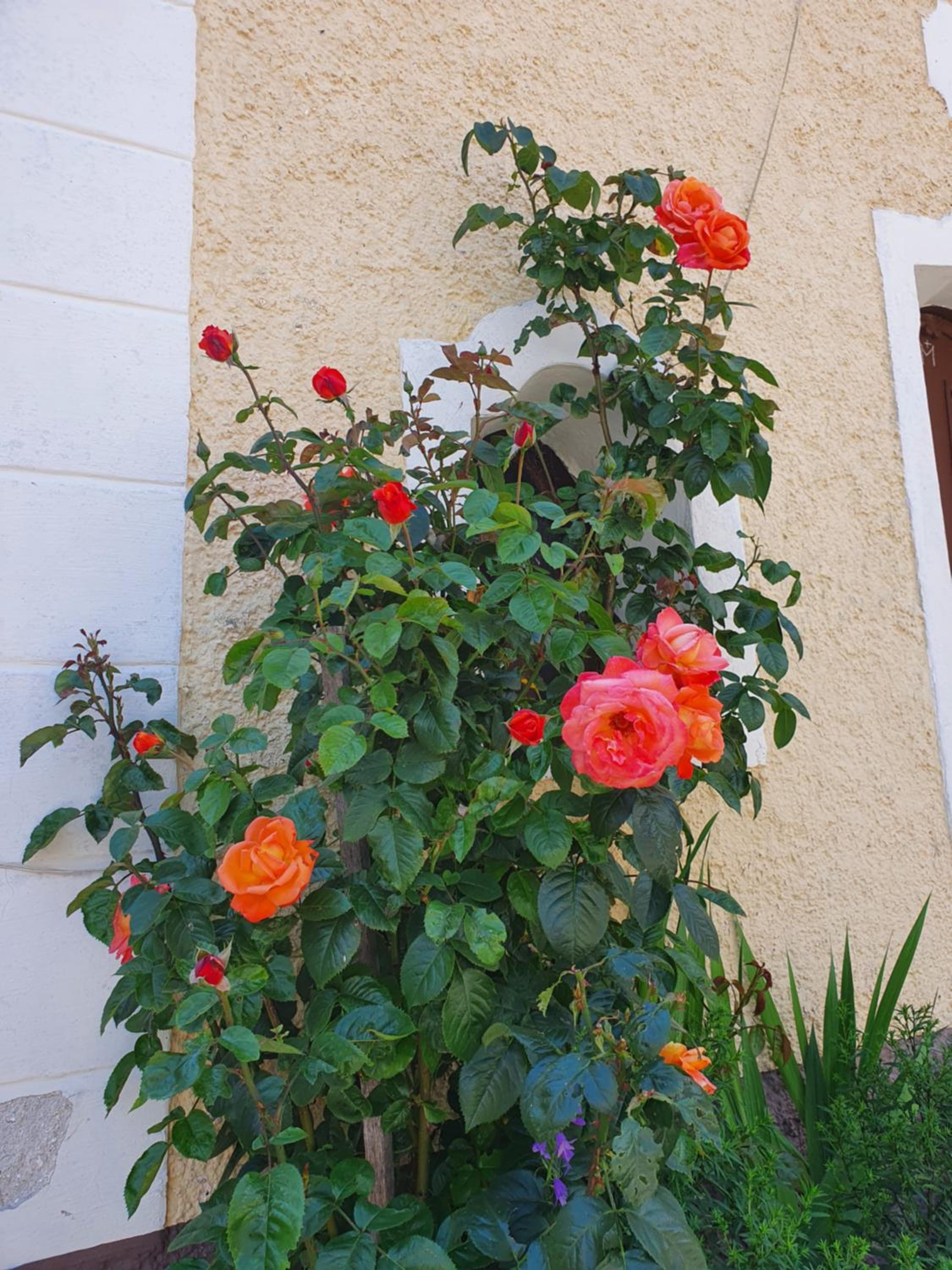 Photo 24