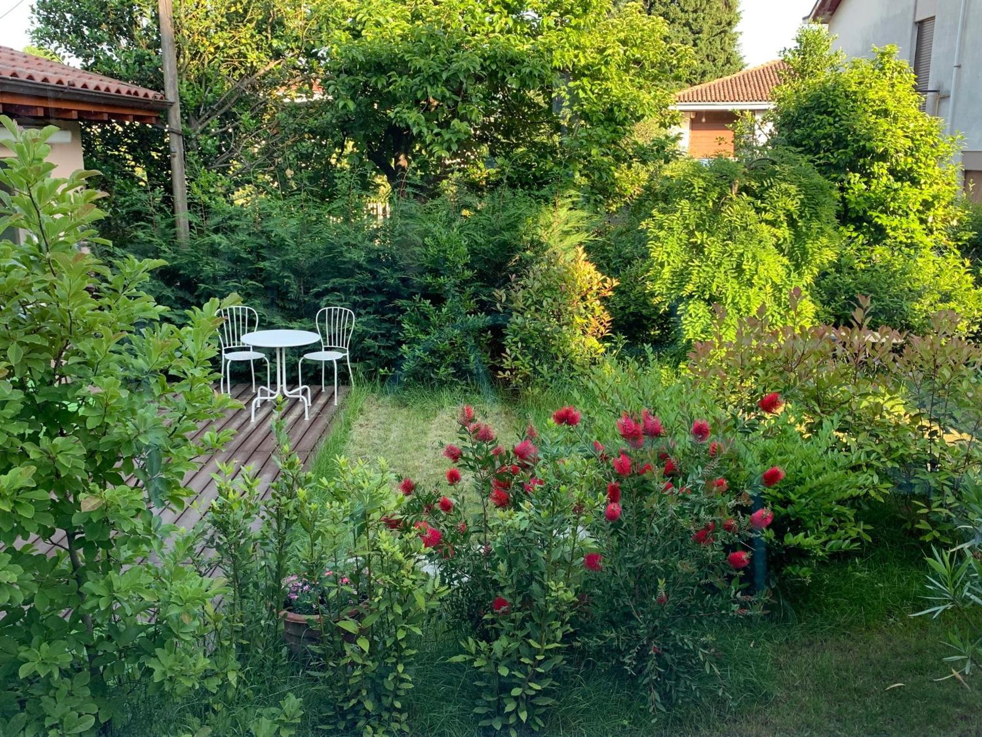 Photo 40